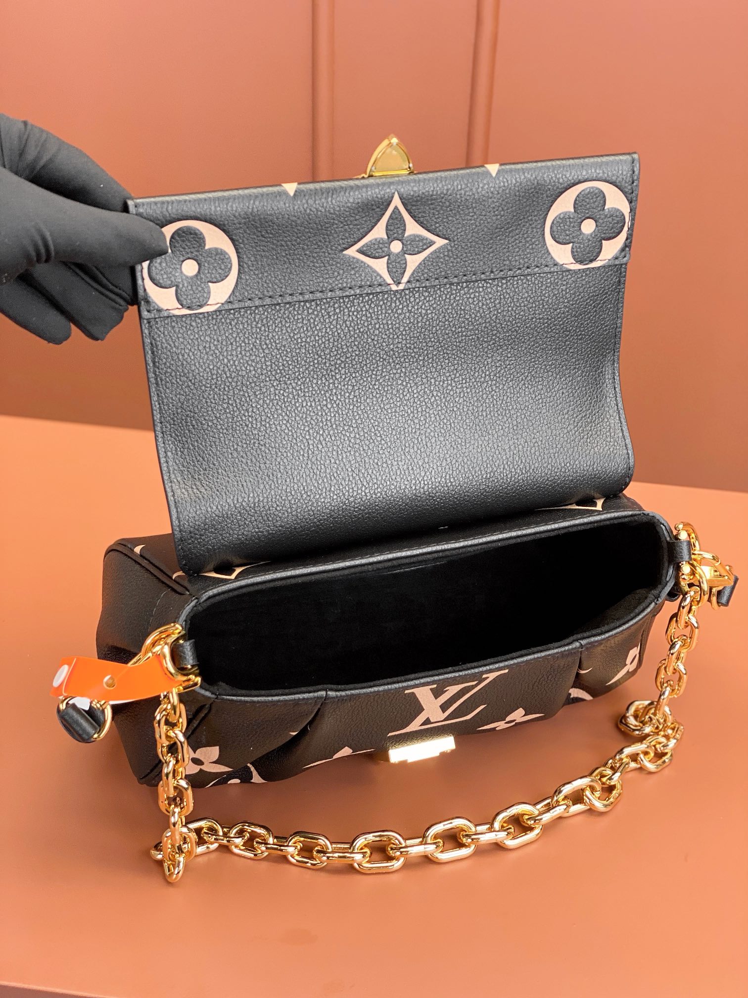 LV Bag