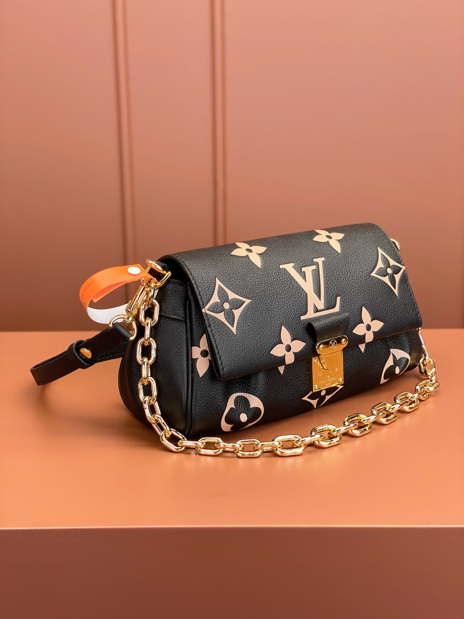 LV Bag