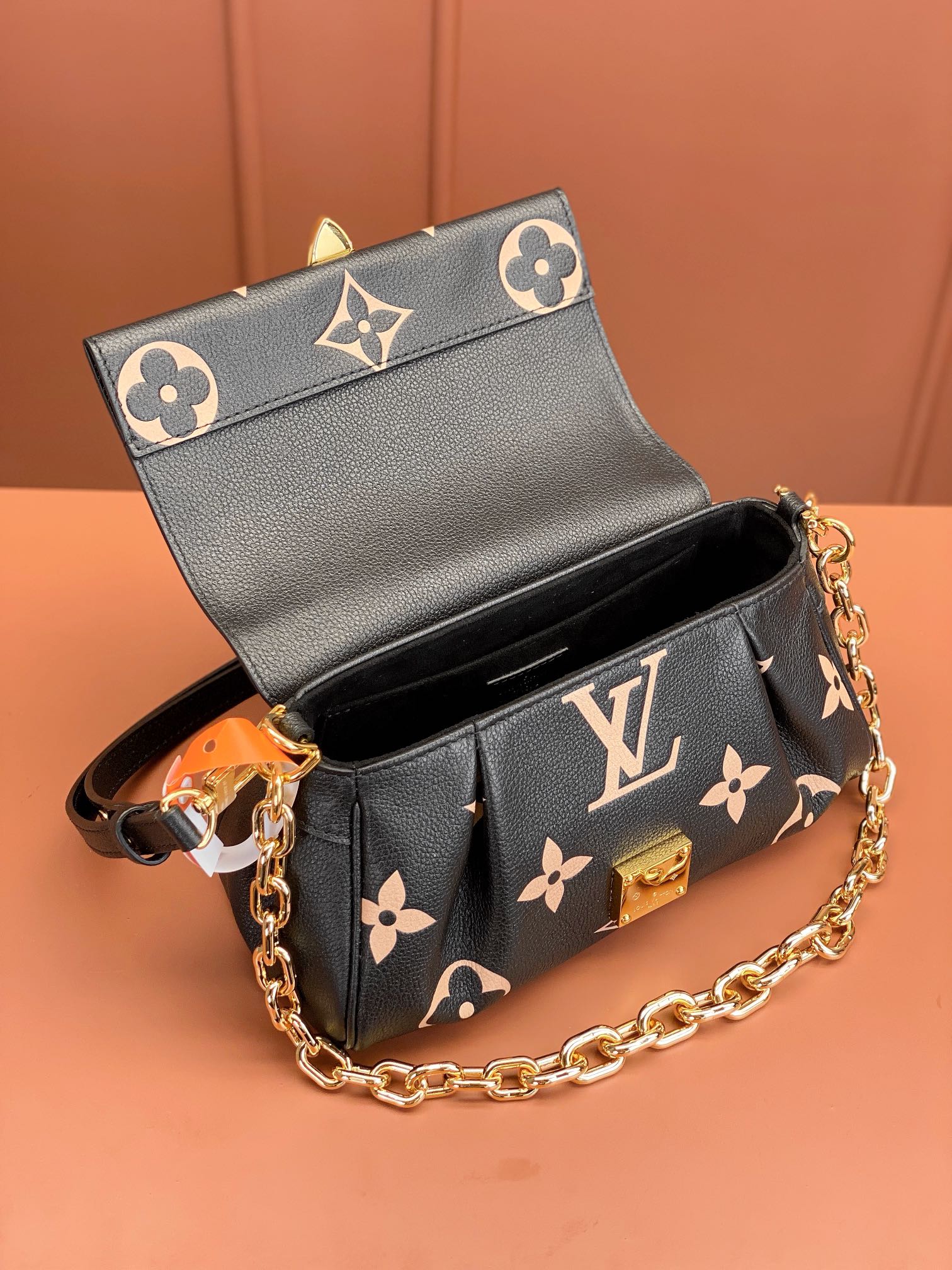 LV Bag