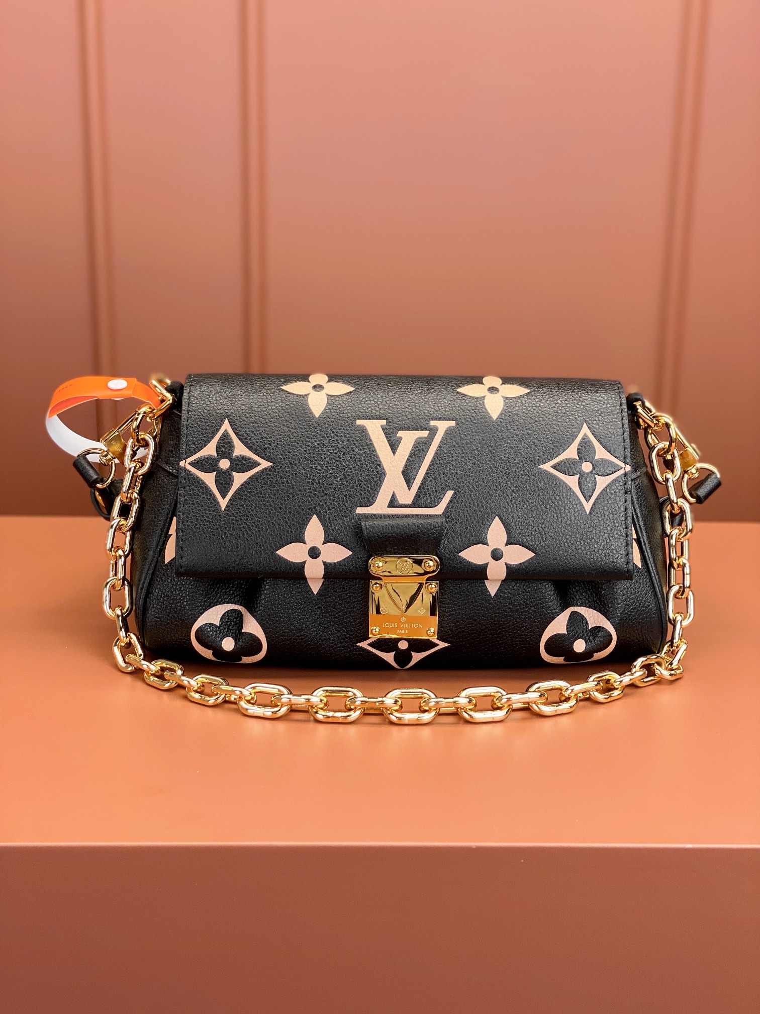 LV Bag