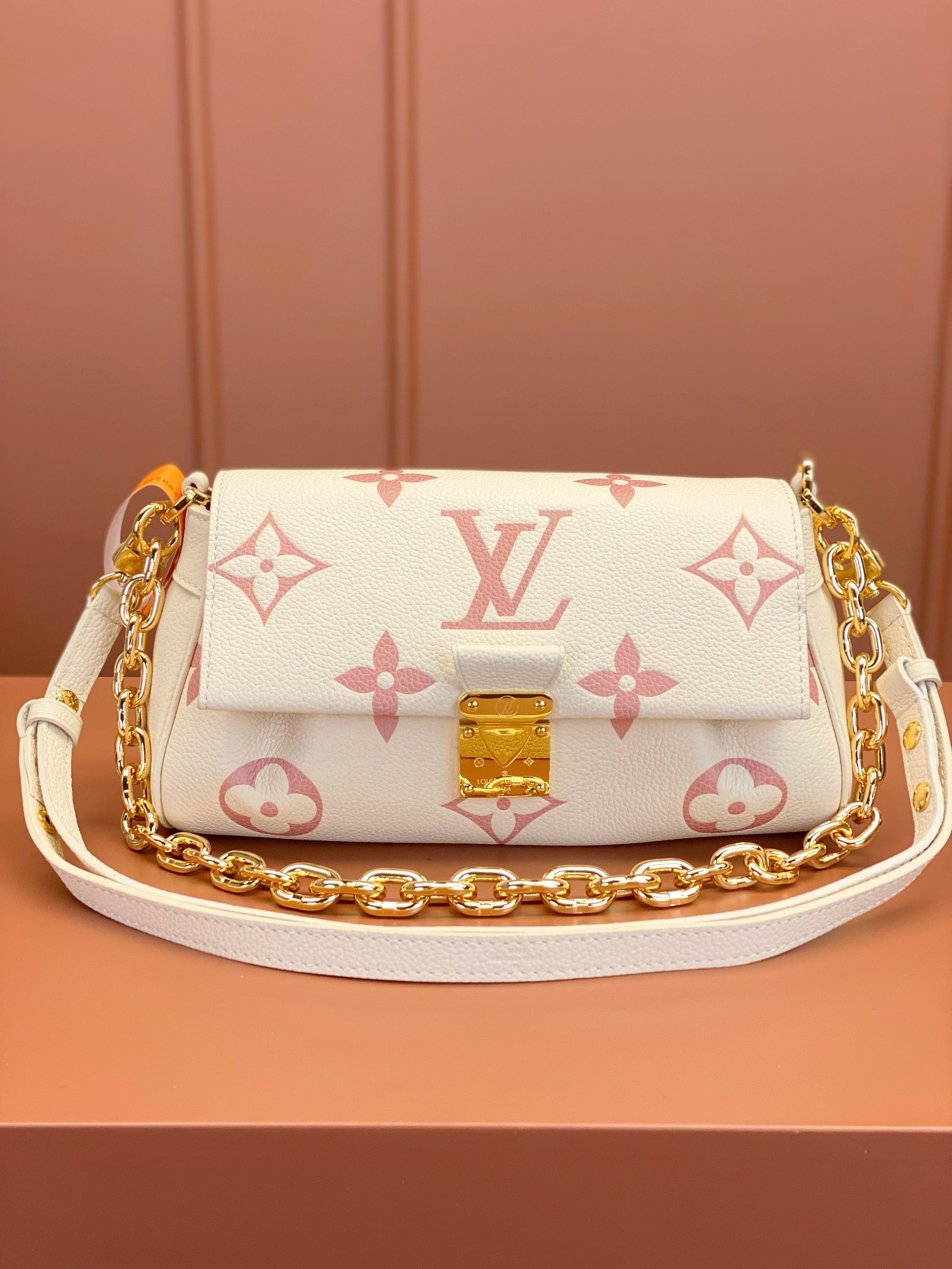 LV Bag
