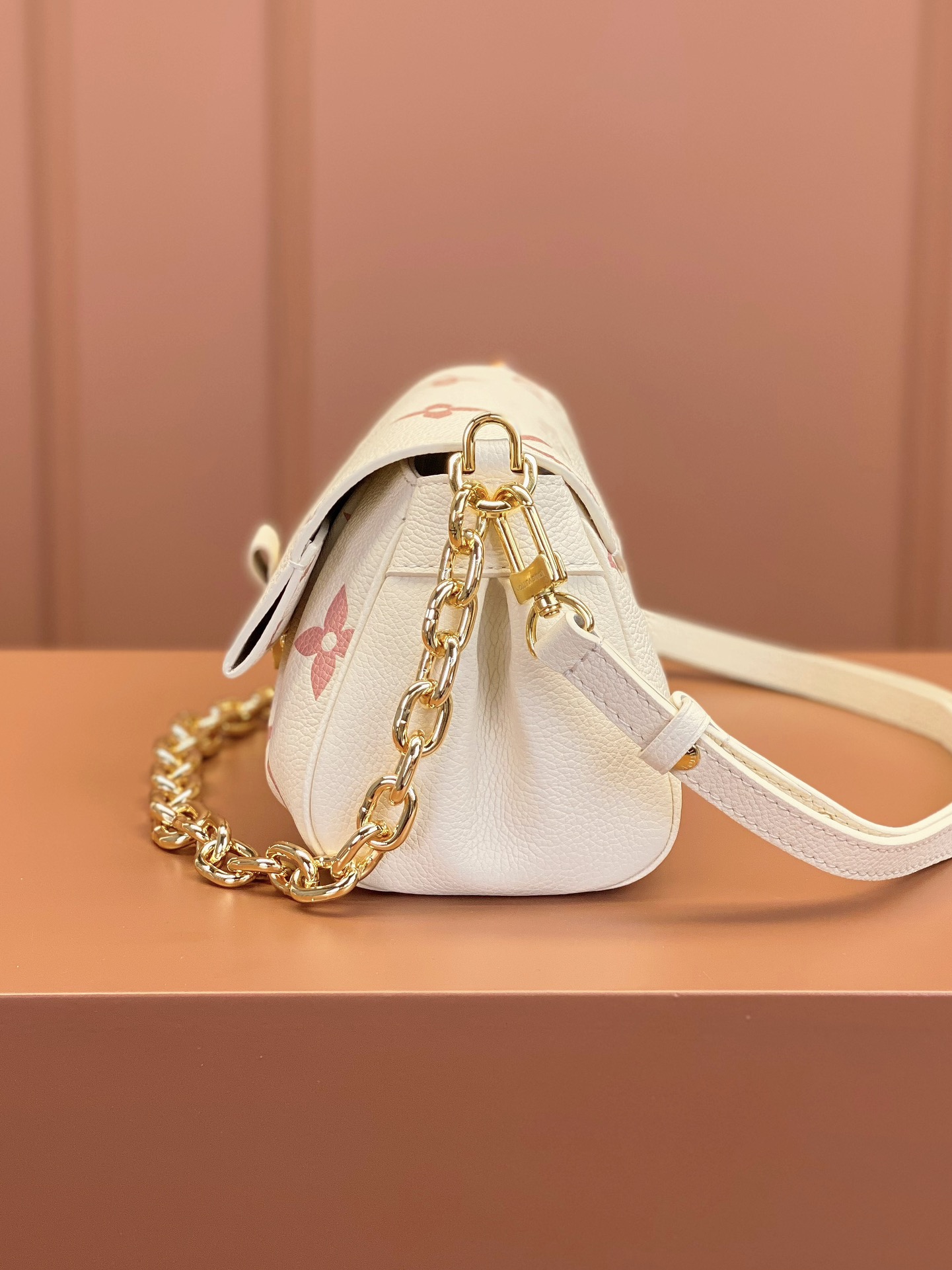 LV Bag