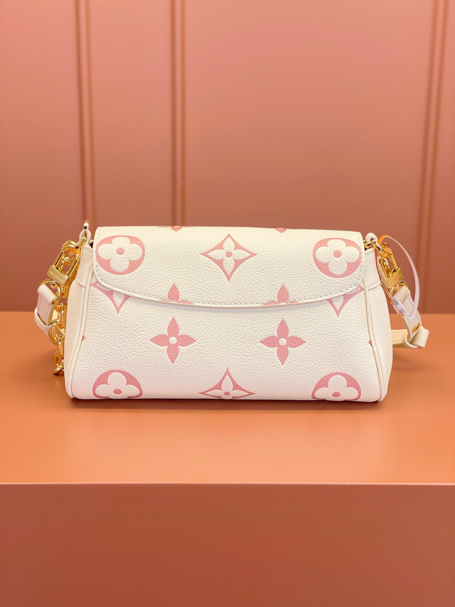 LV Bag