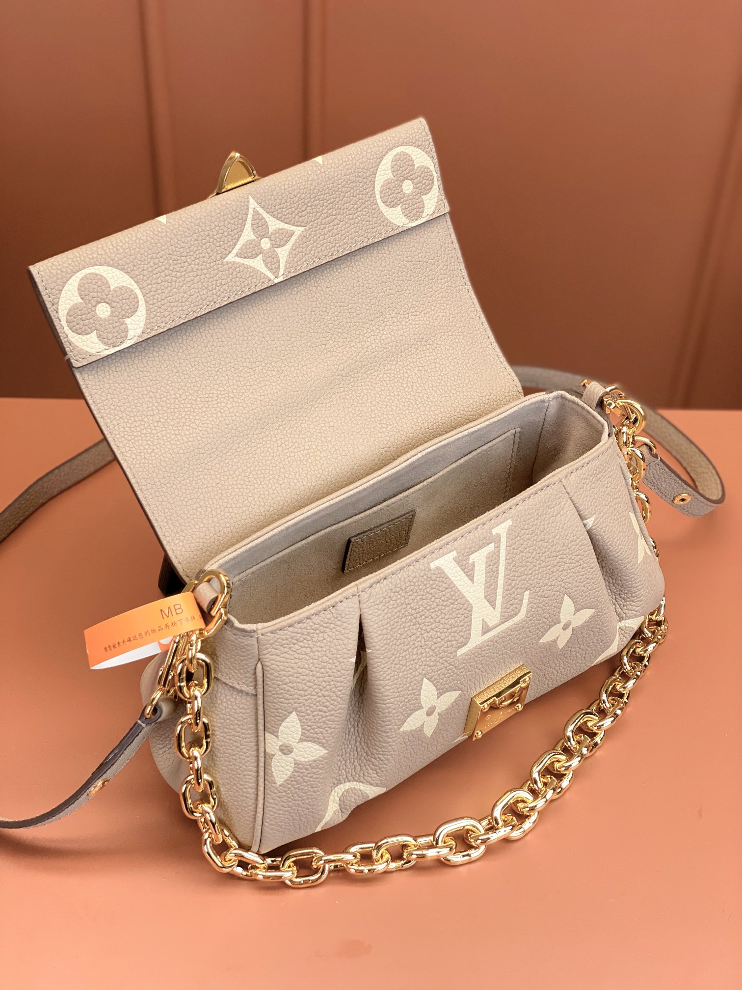 LV Bag