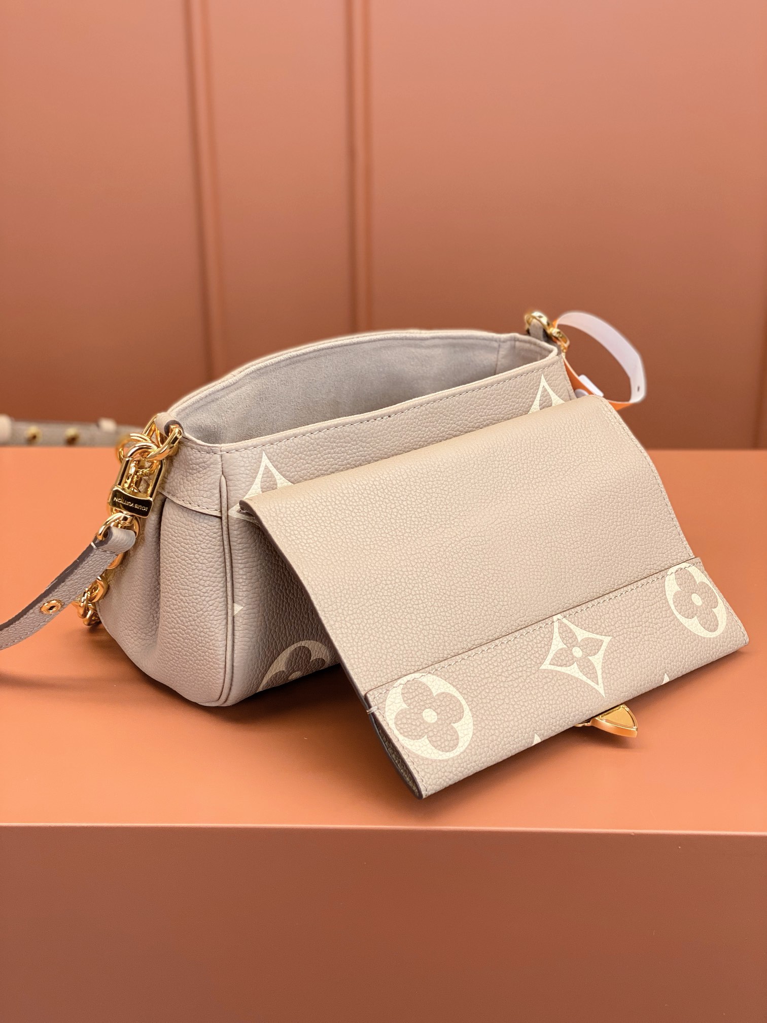 LV Bag