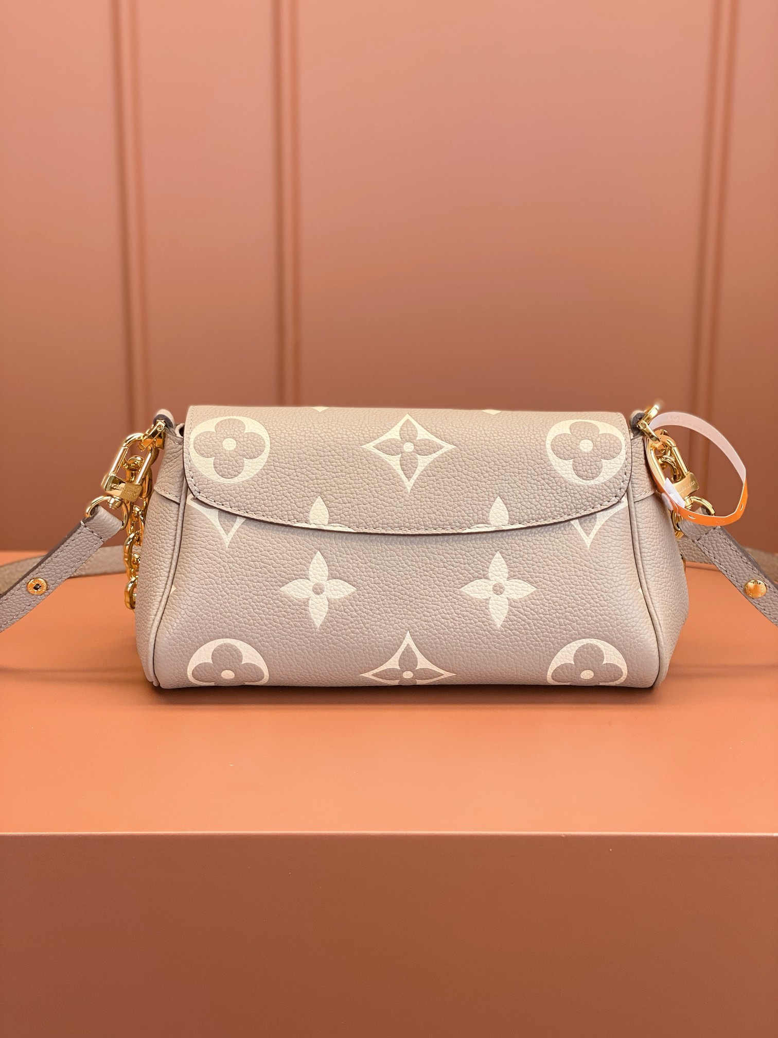 LV Bag