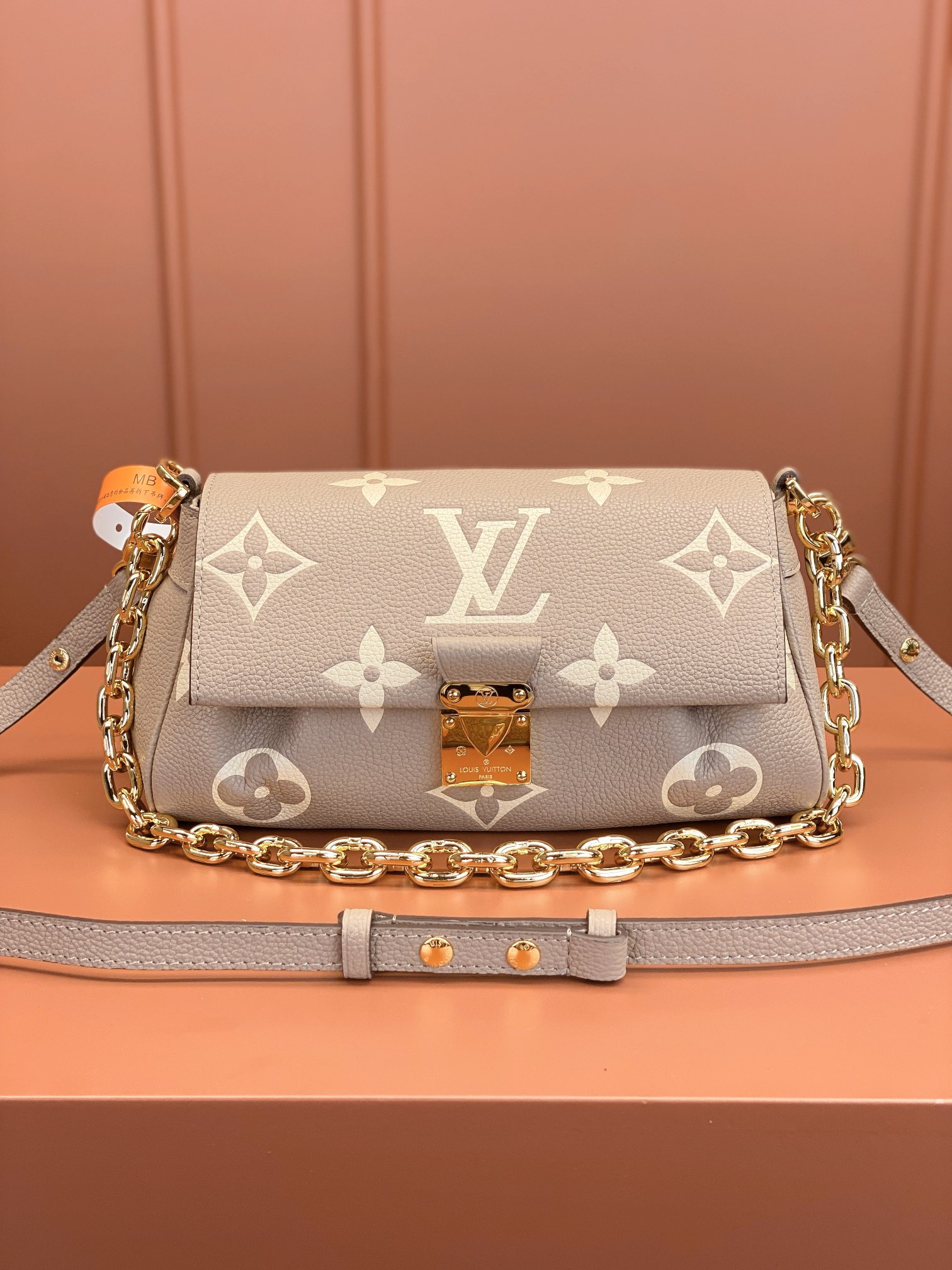 LV Bag