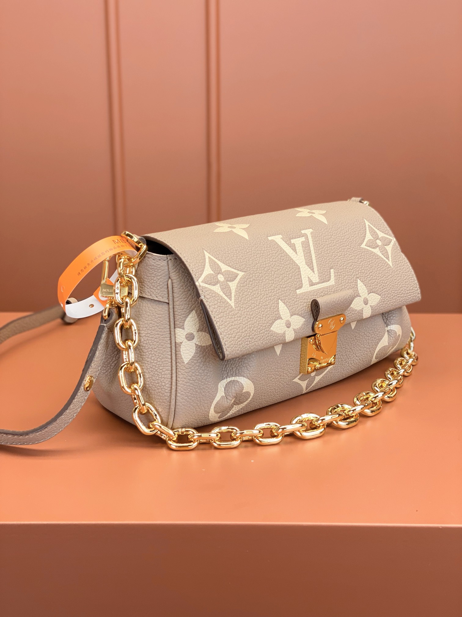 LV Bag