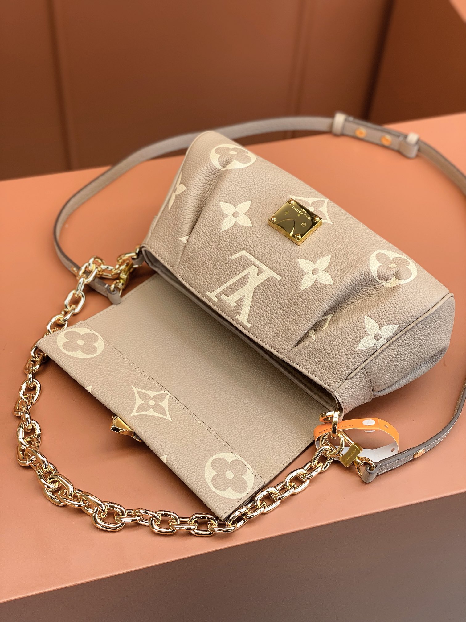 LV Bag