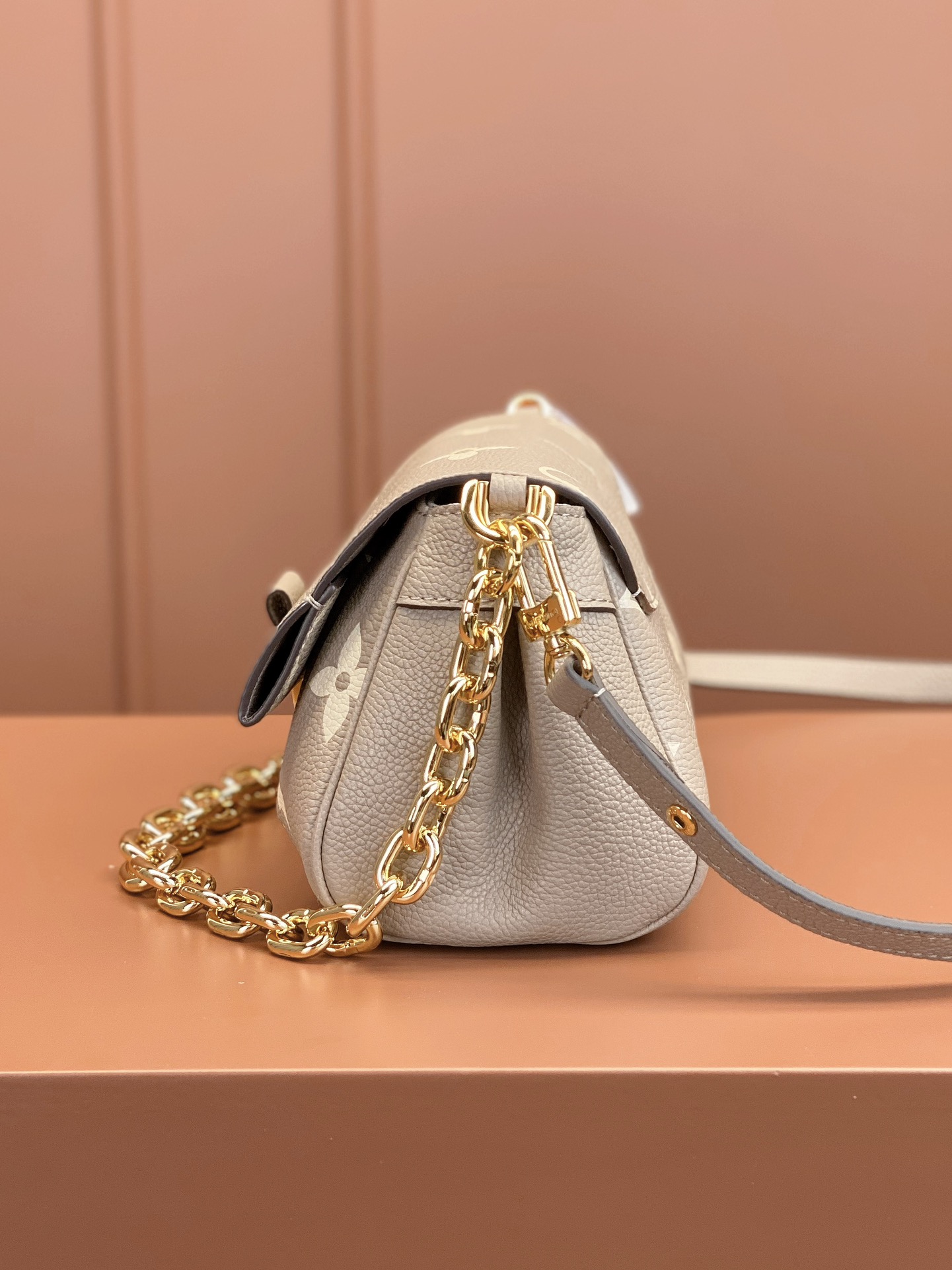 LV Bag