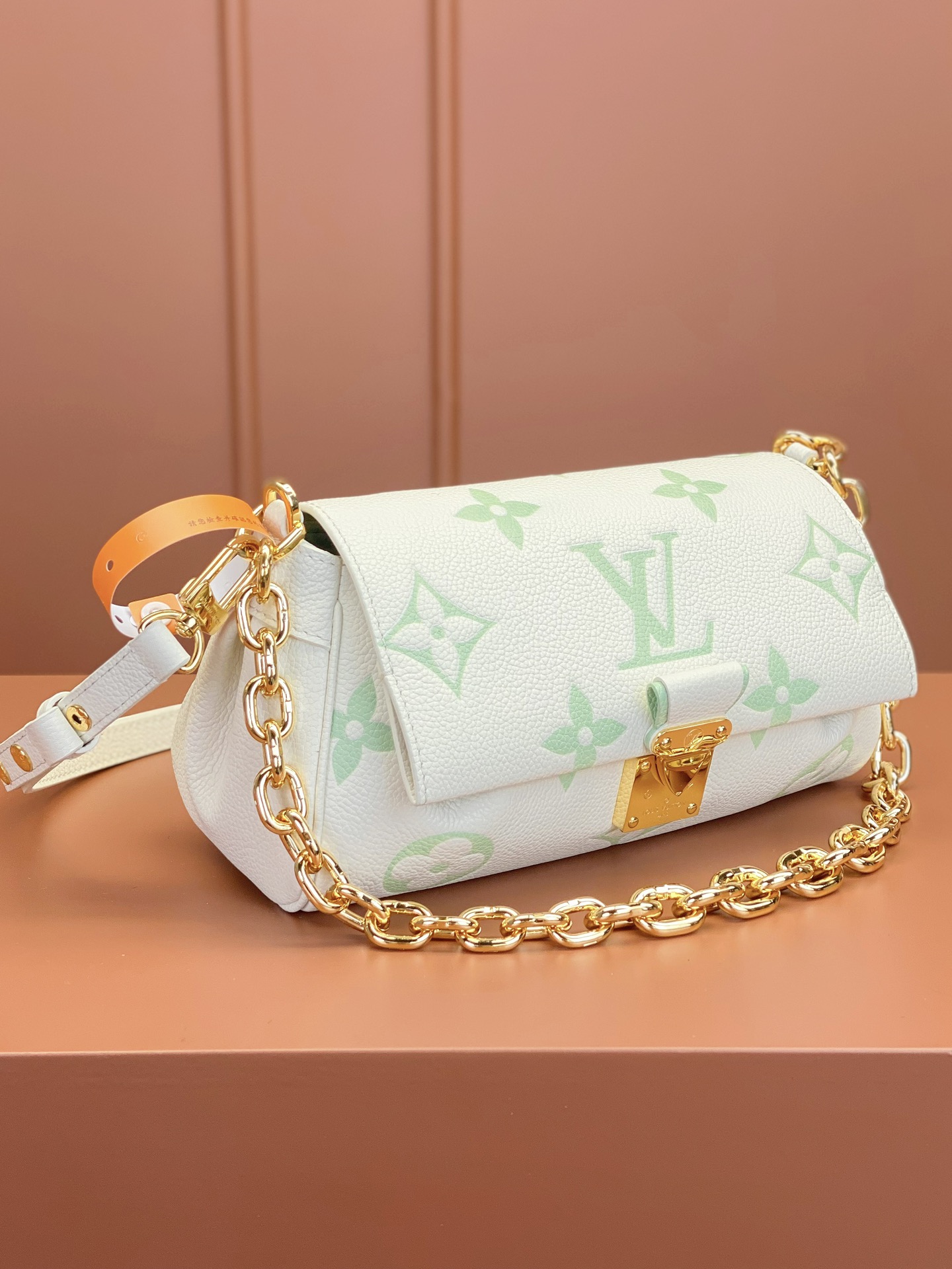 LV Bag
