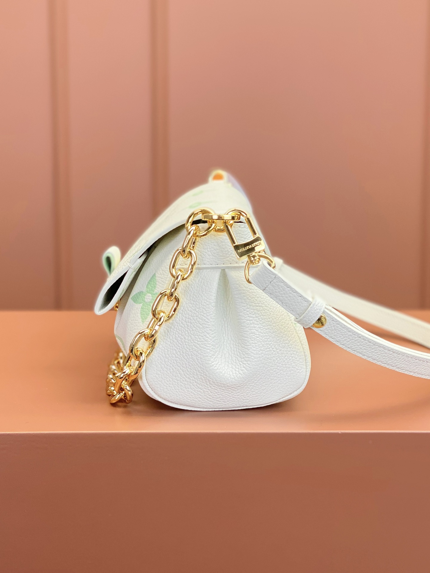 LV Bag