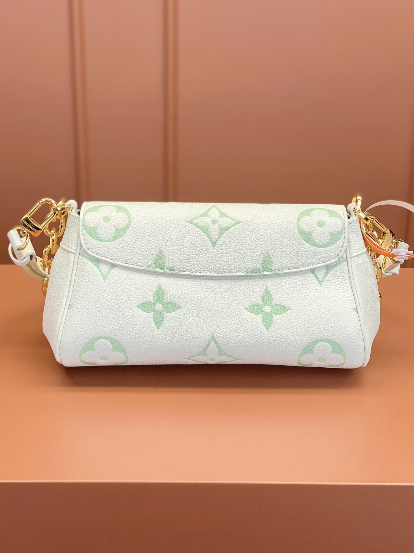 LV Bag
