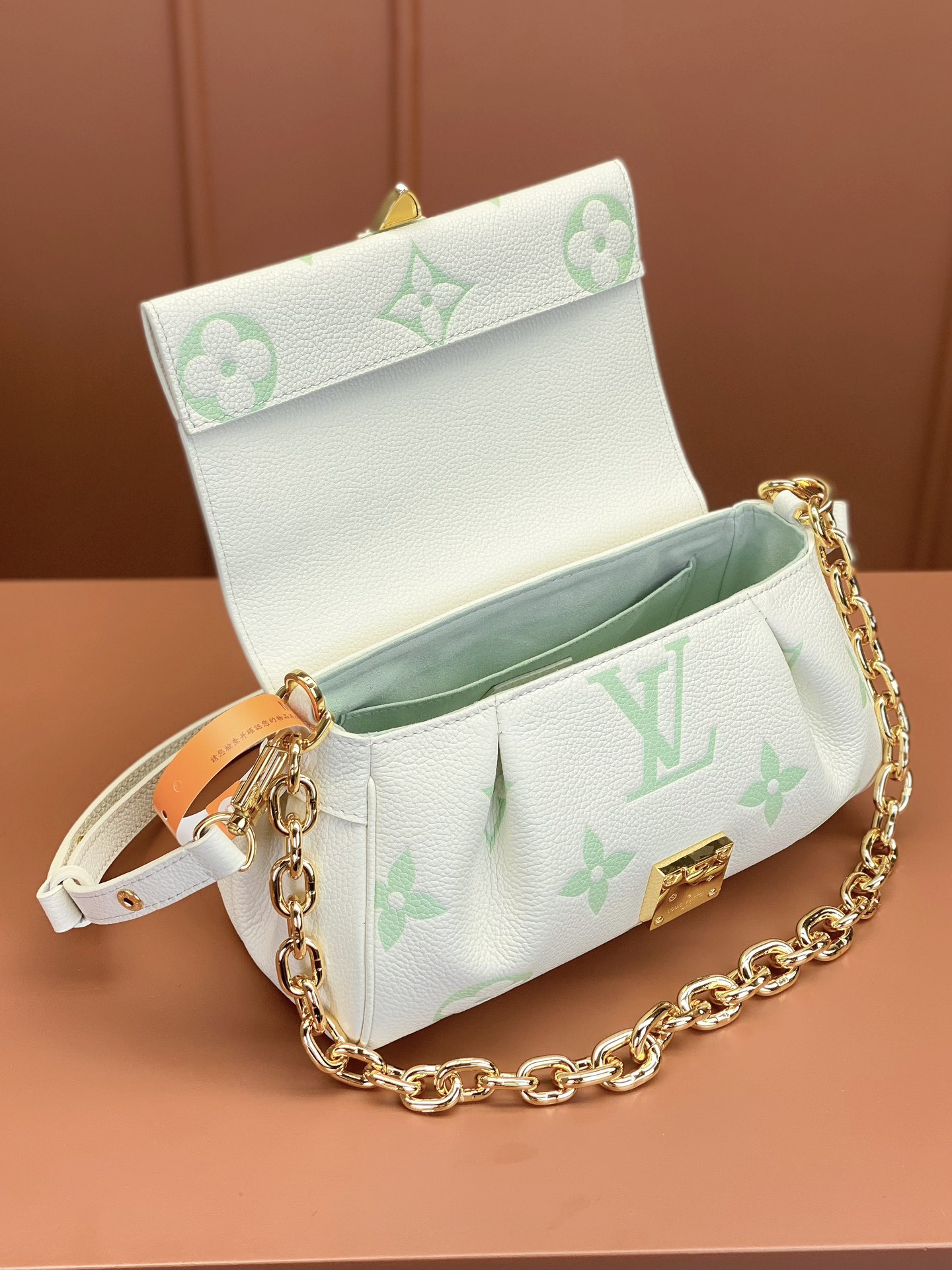 LV Bag