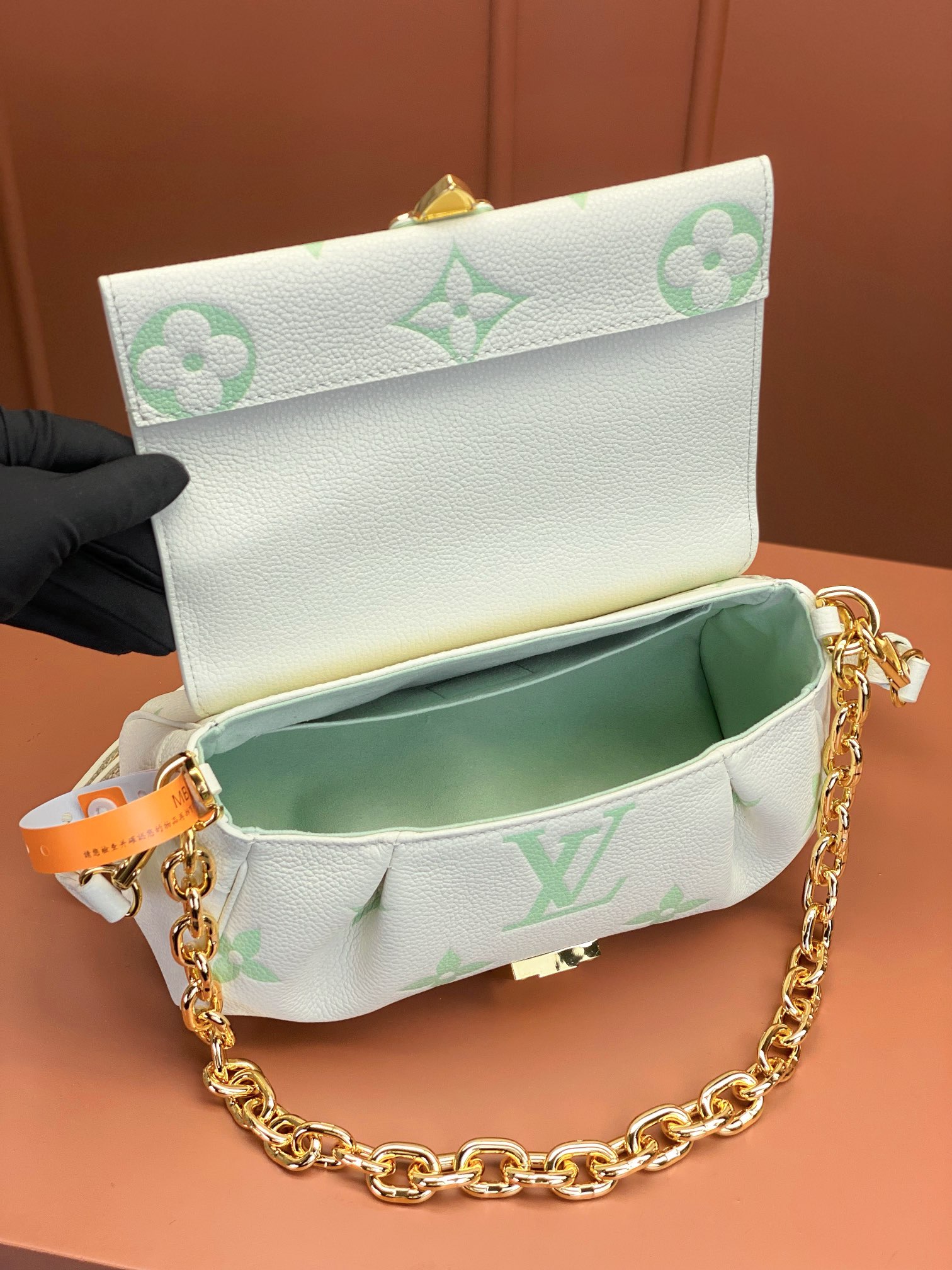LV Bag