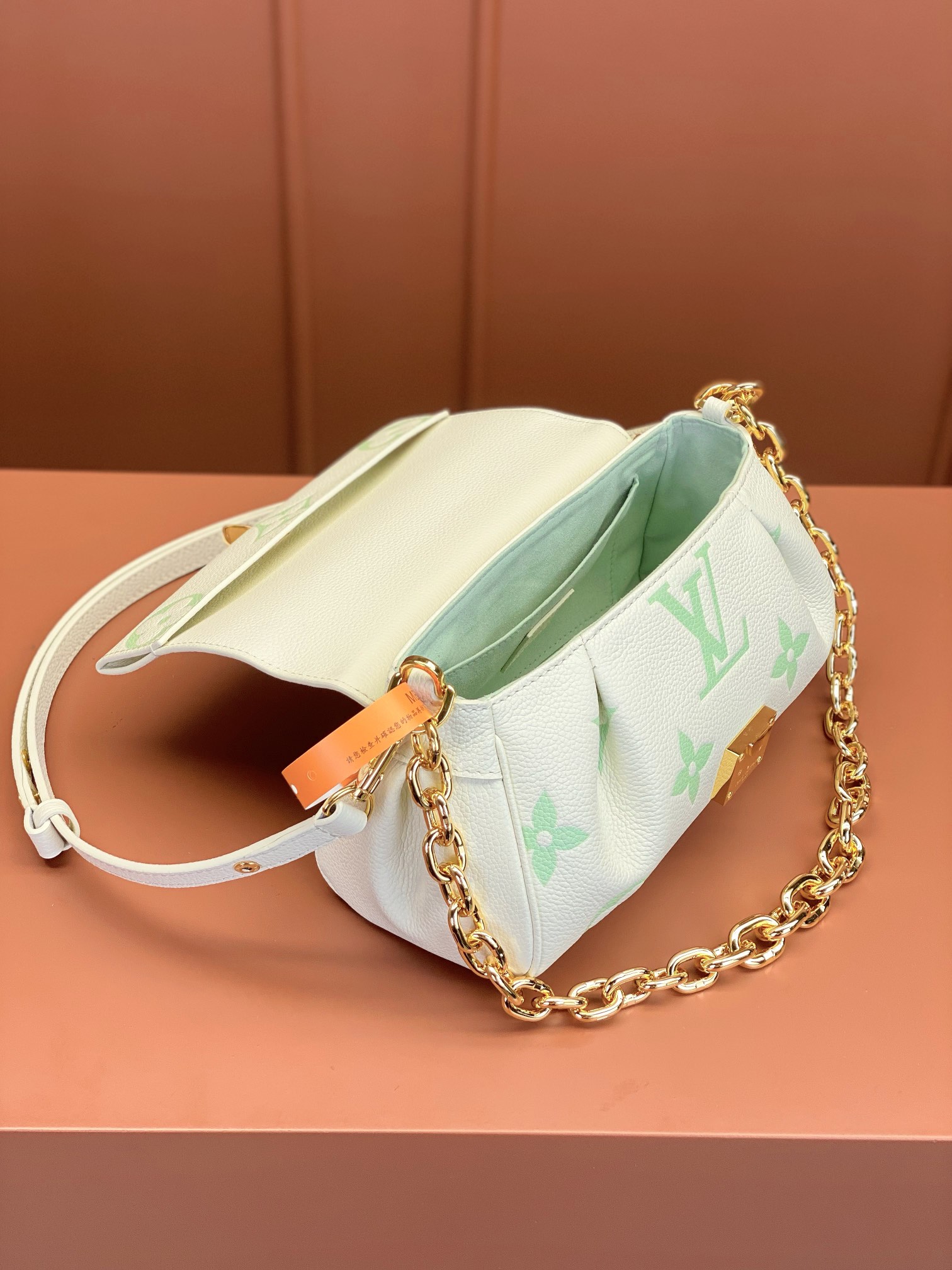 LV Bag