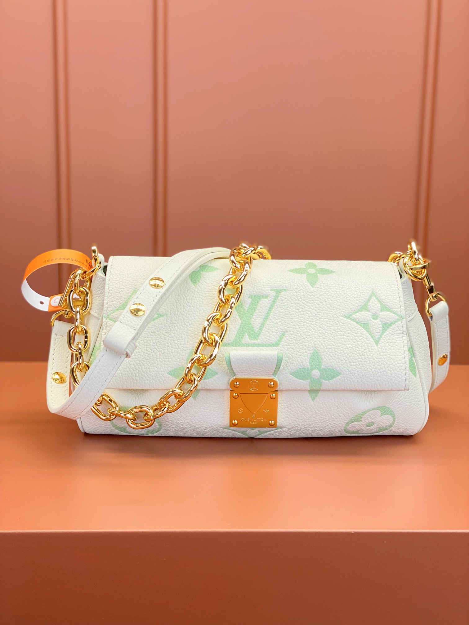 LV Bag