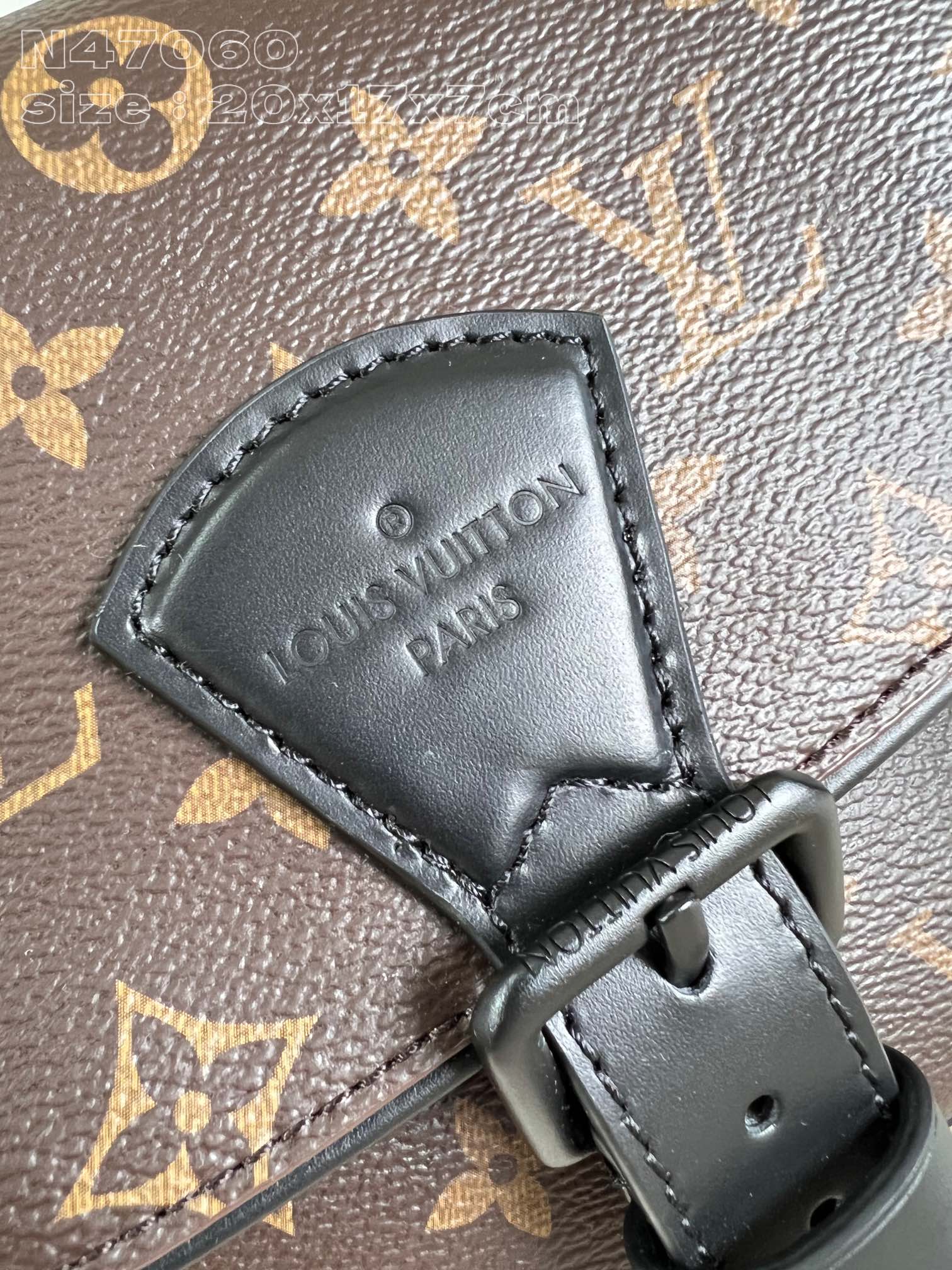 LV Bag