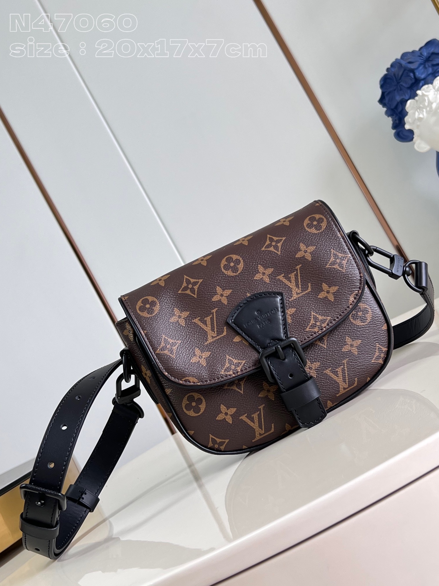 LV Bag