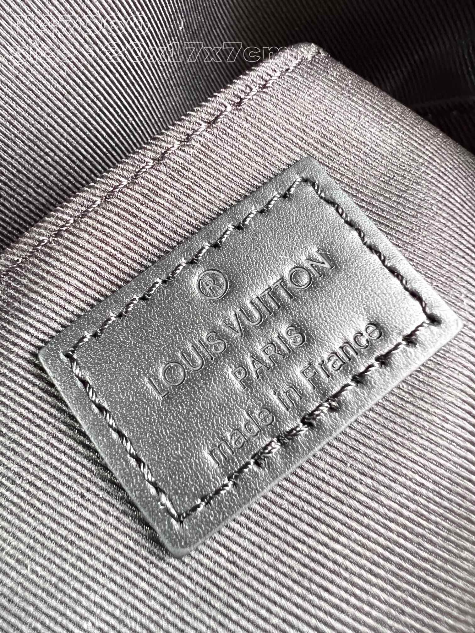 LV Bag