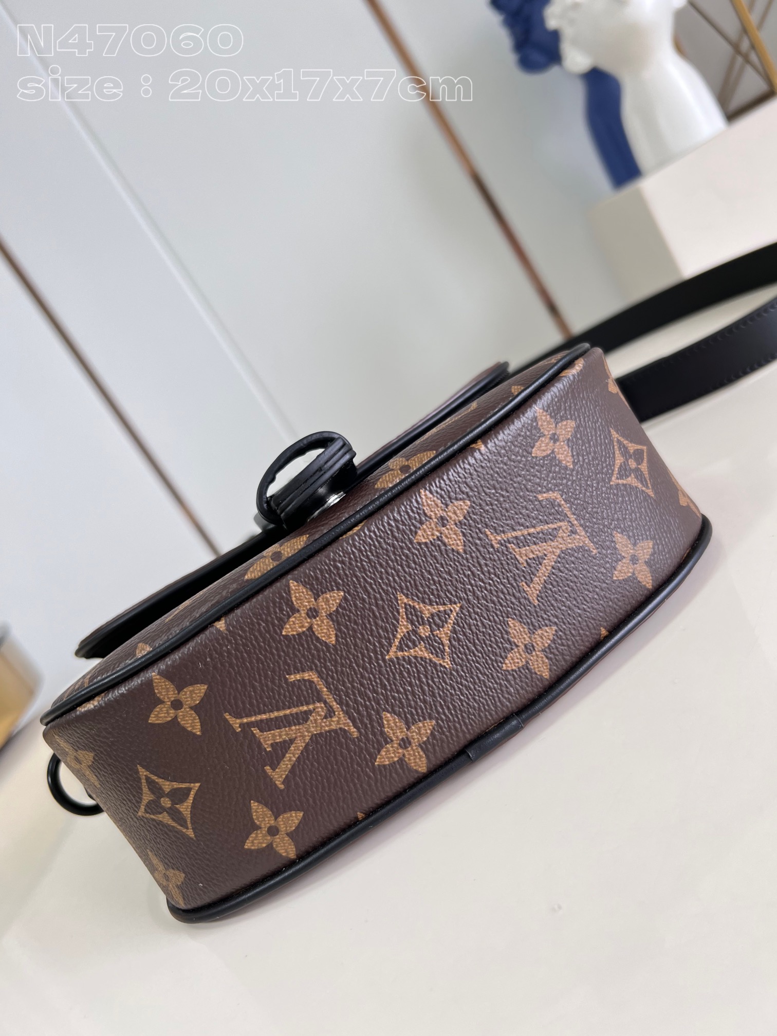 LV Bag