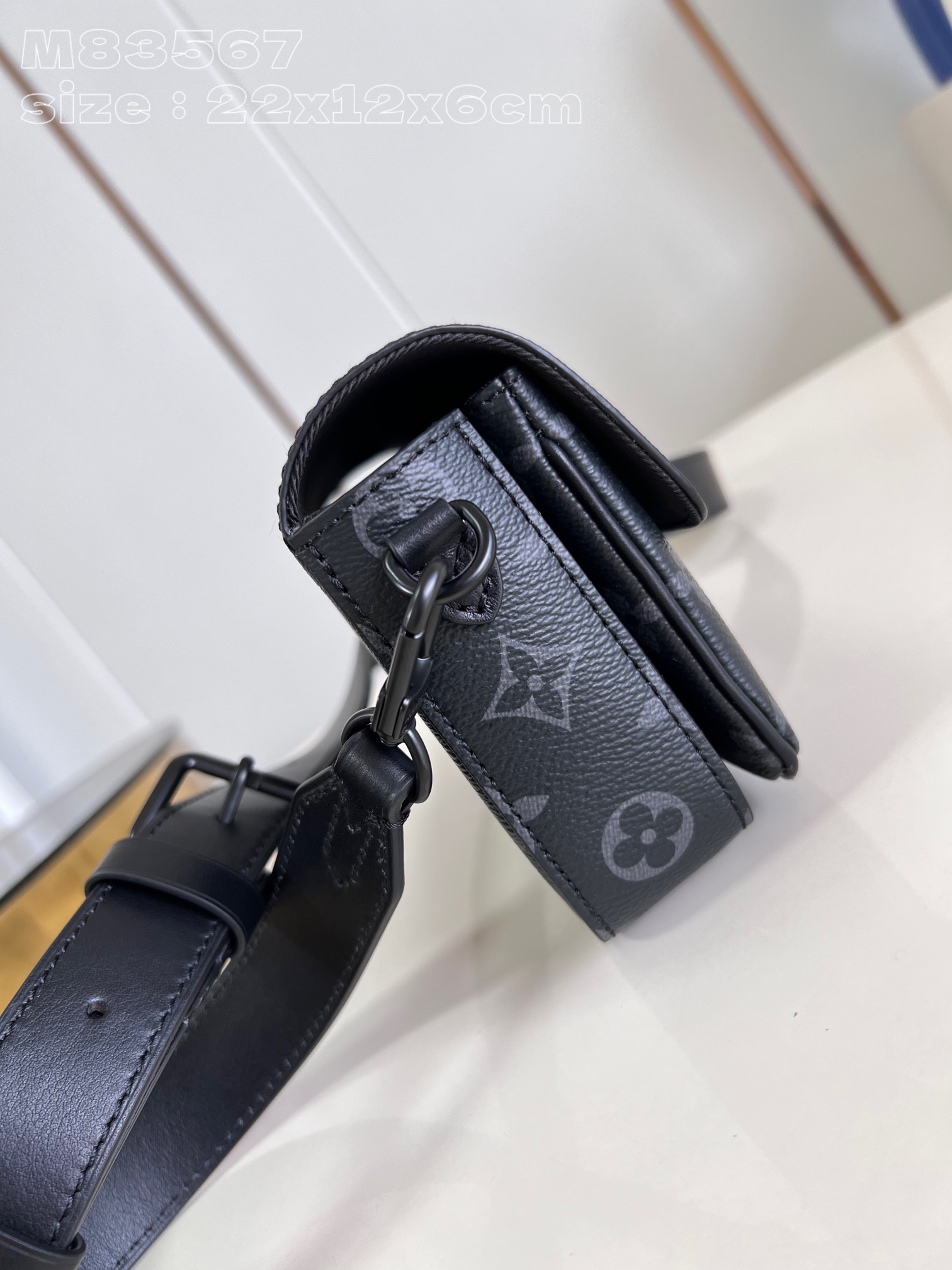 LV Bag