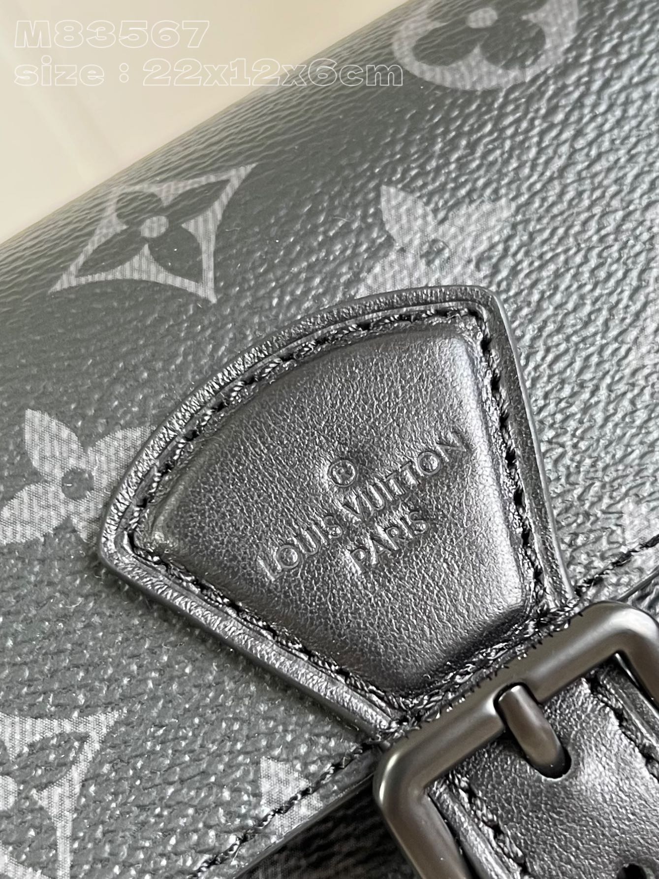 LV Bag