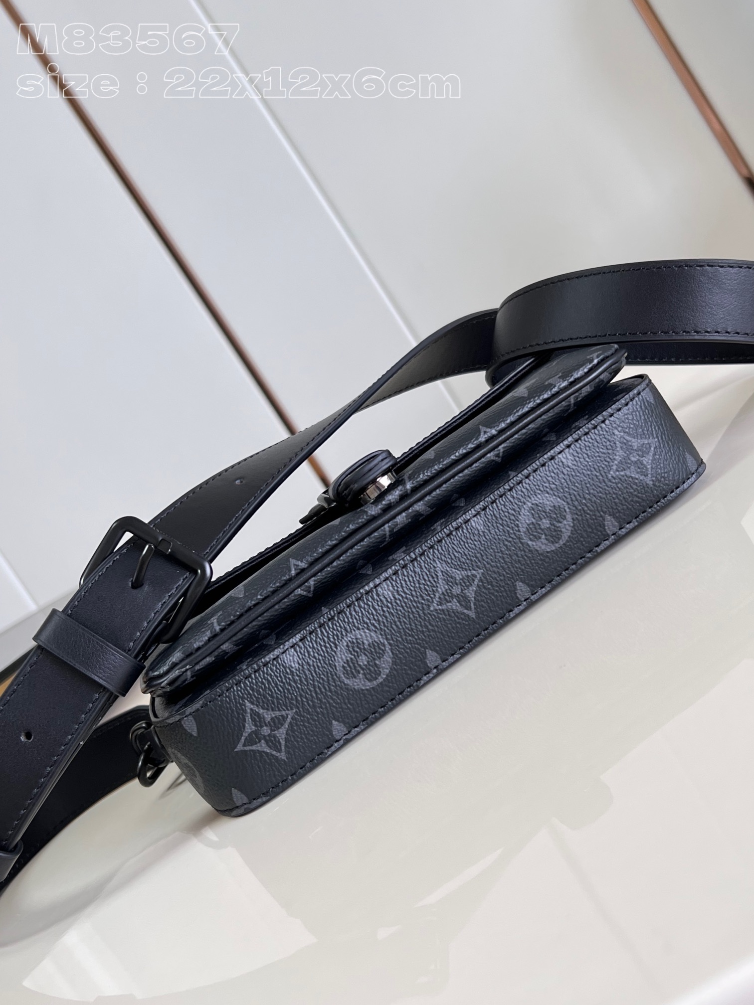 LV Bag