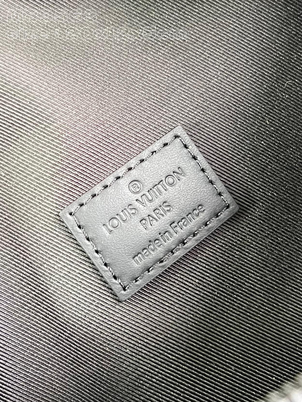 LV Bag