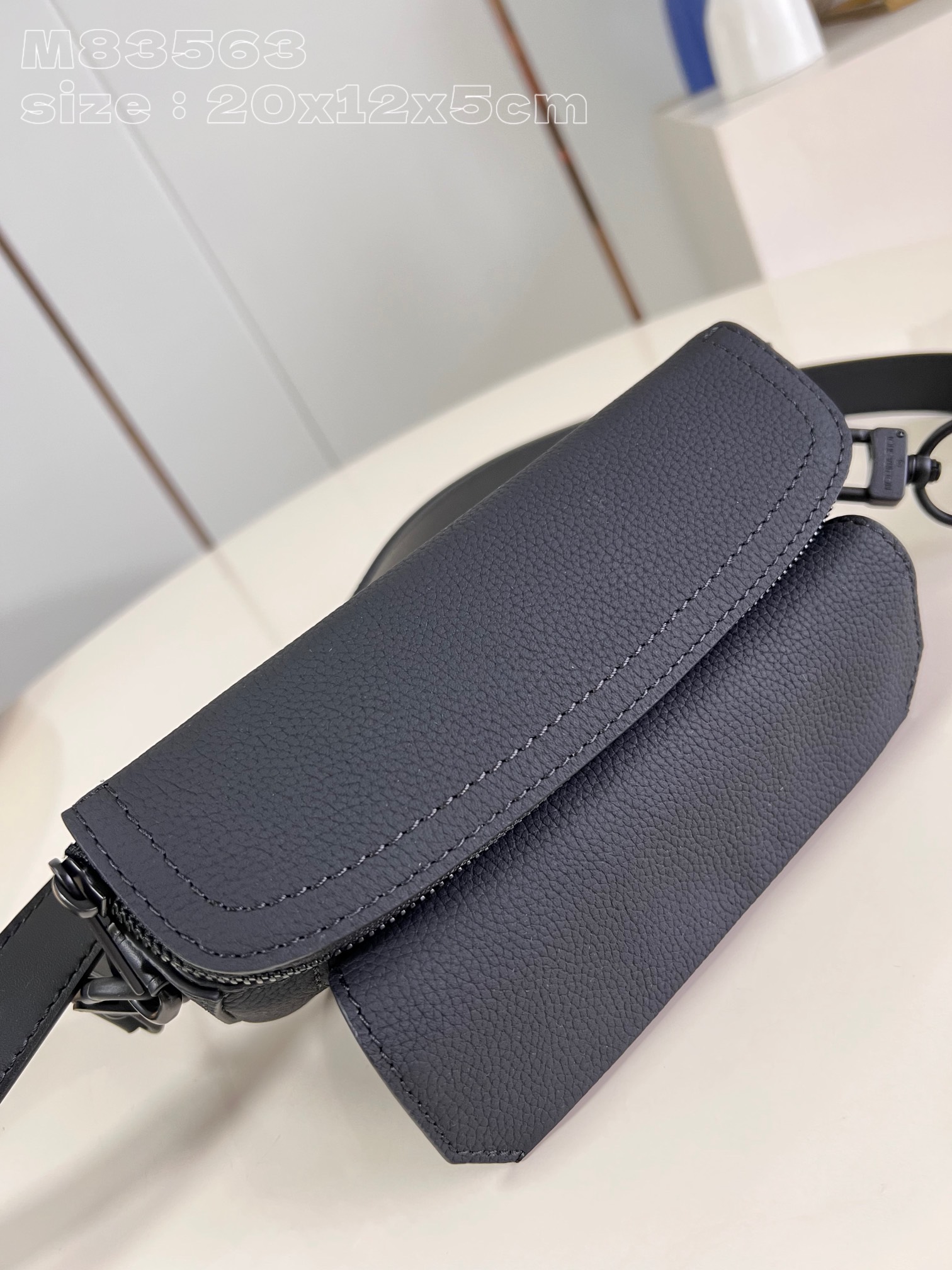 LV Bag