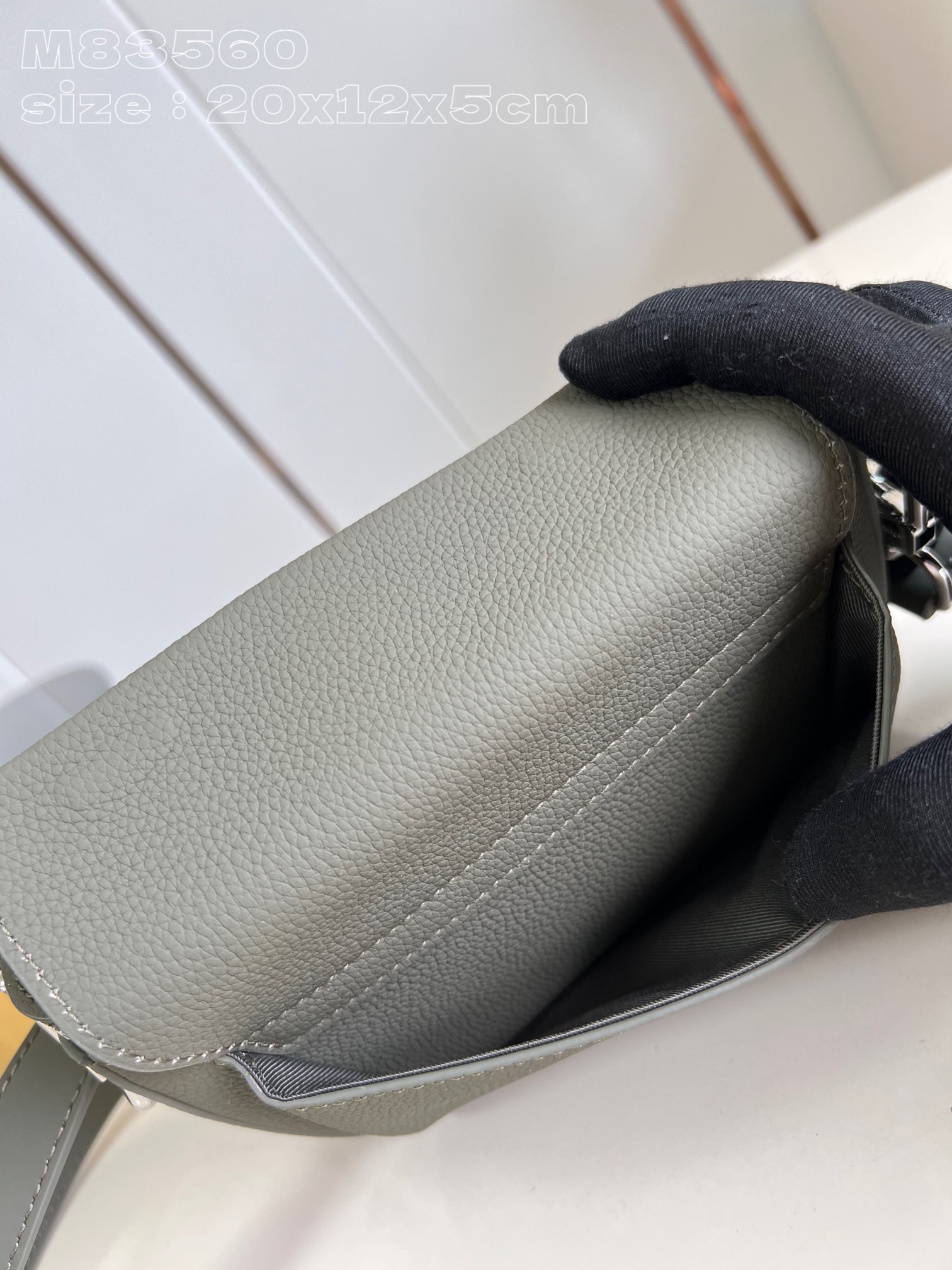 LV Bag