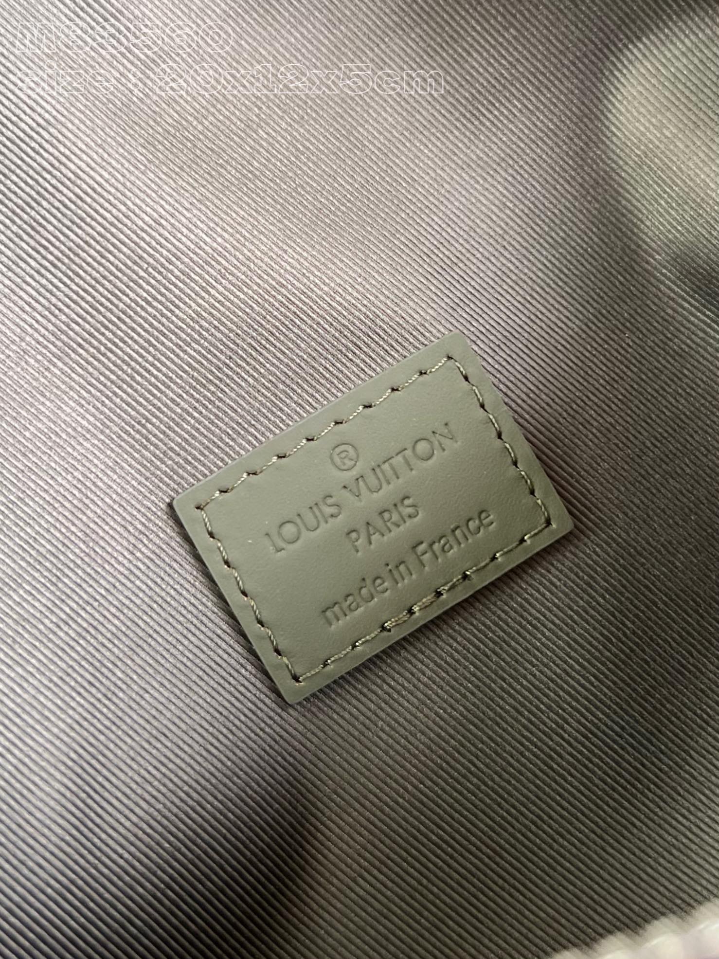 LV Bag