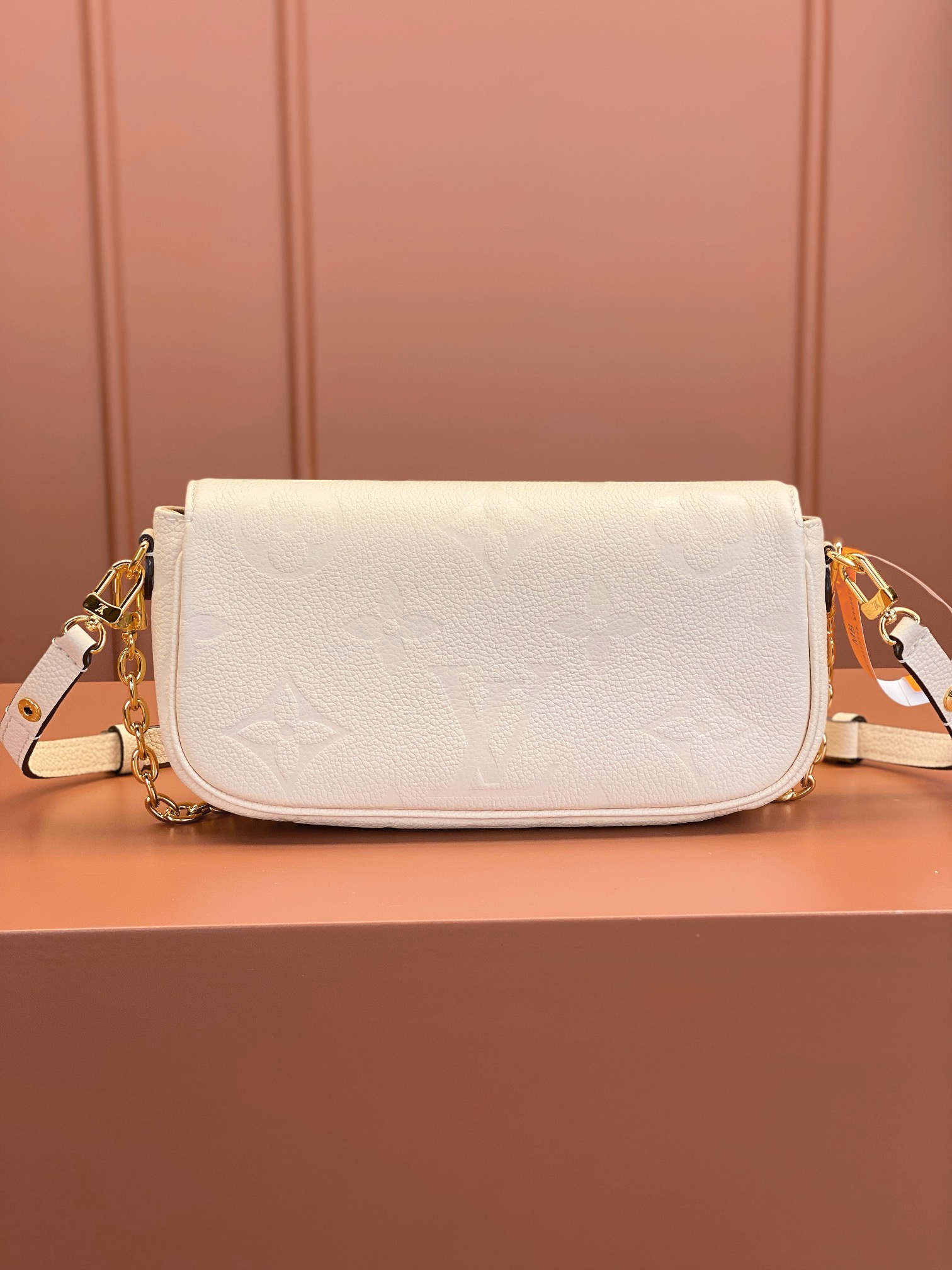LV Bag
