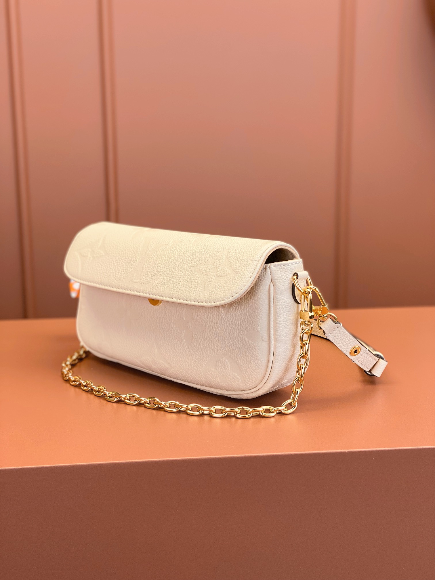 LV Bag