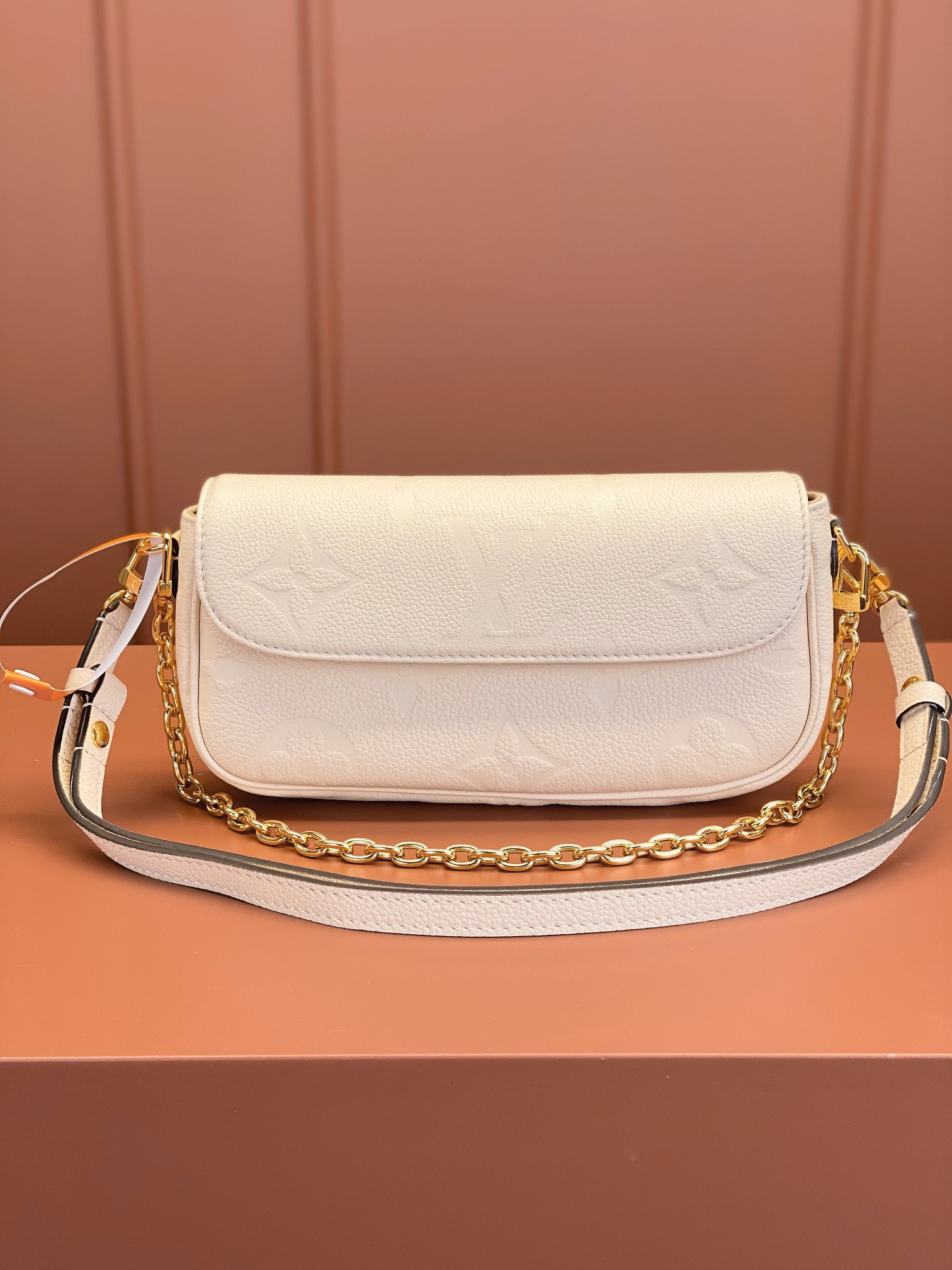 LV Bag