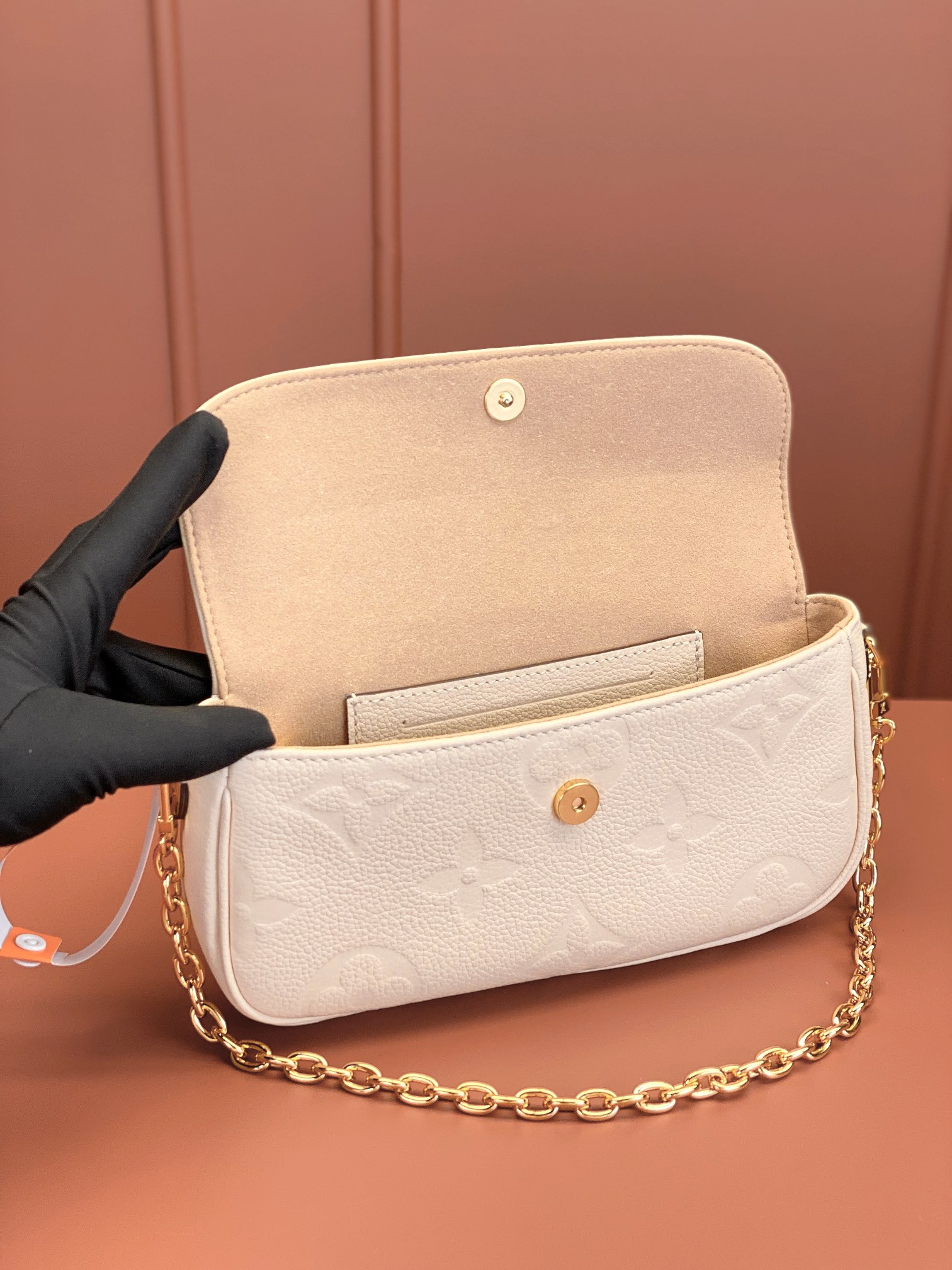LV Bag