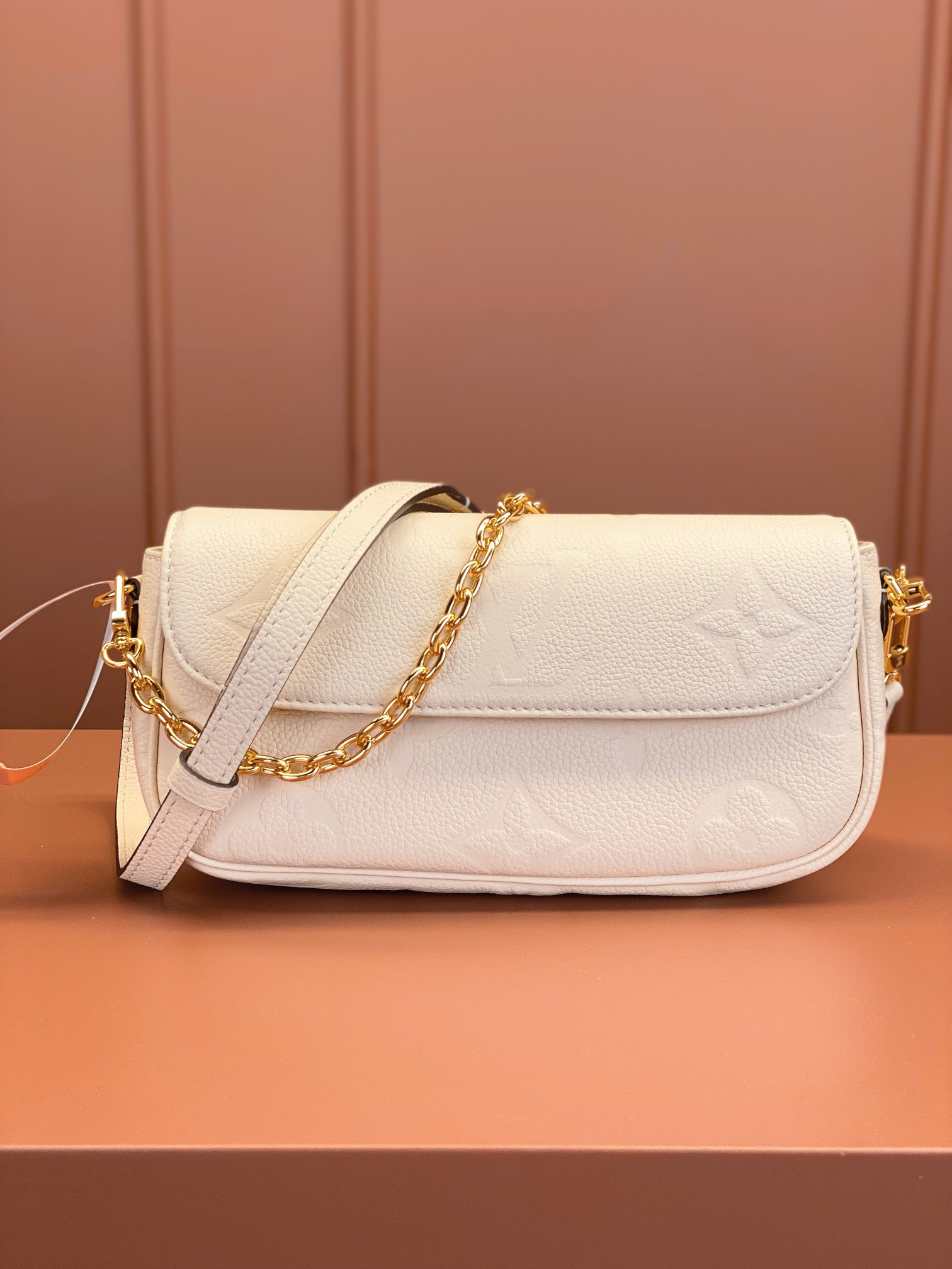 LV Bag