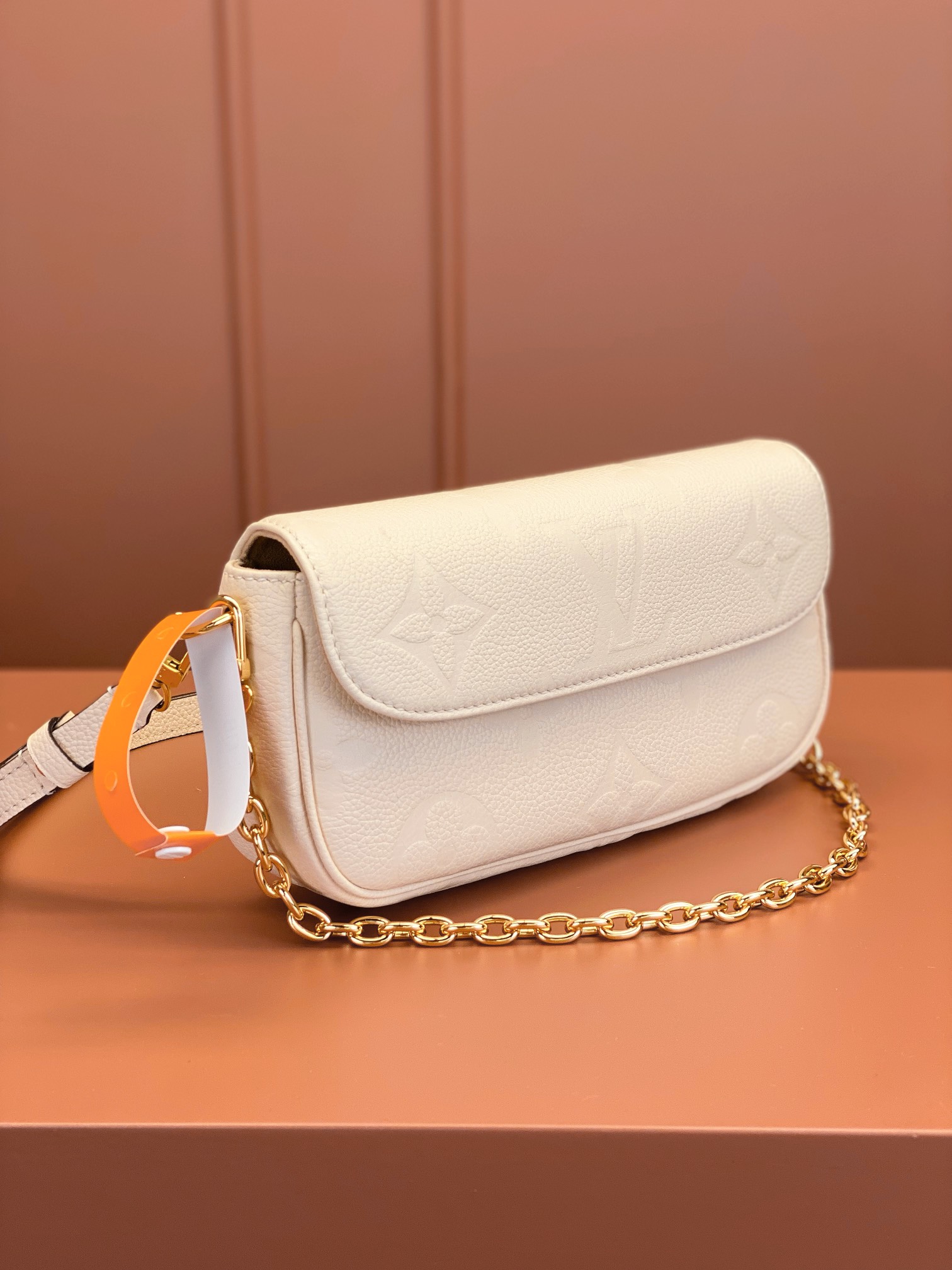 LV Bag