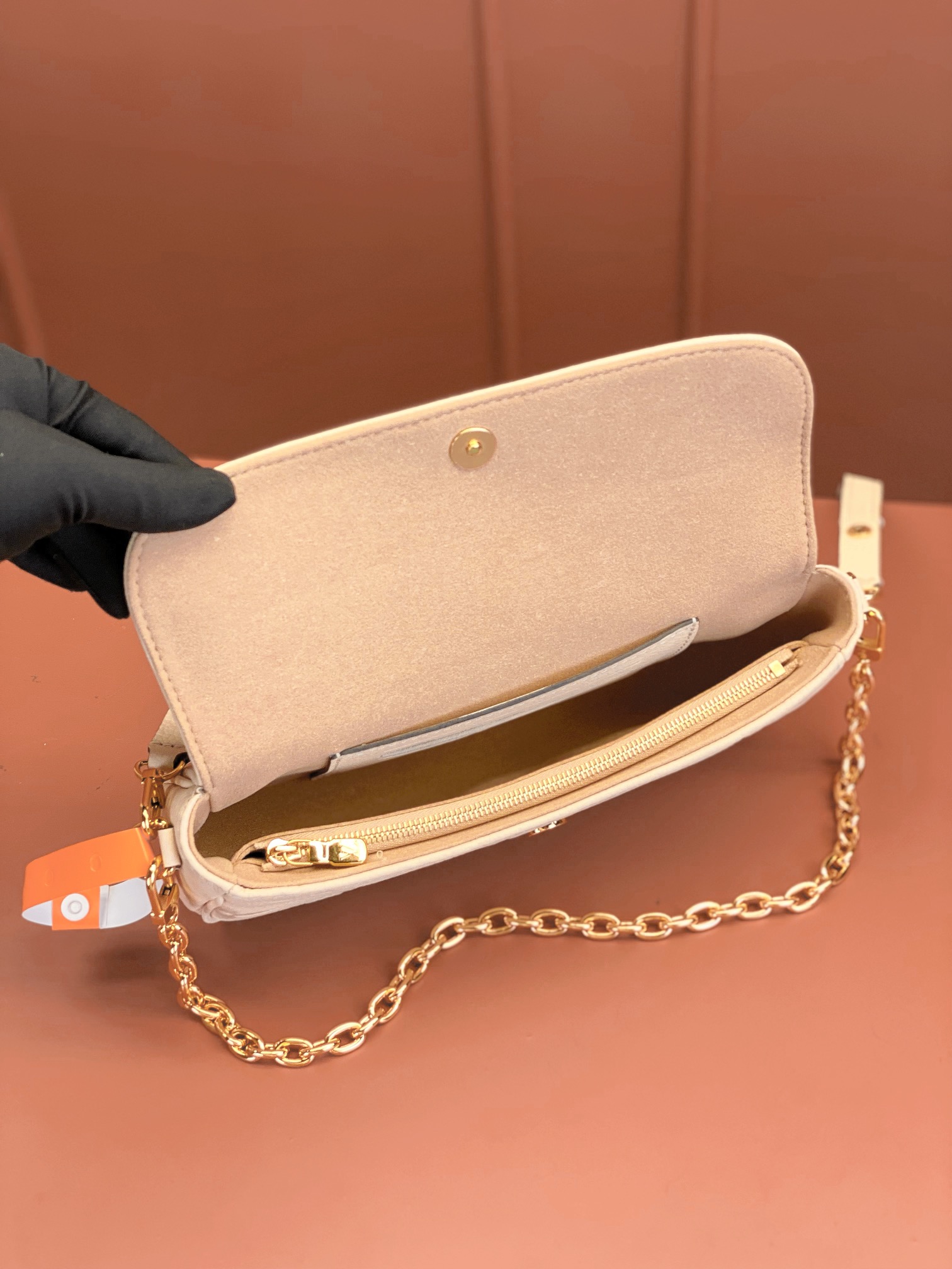 LV Bag