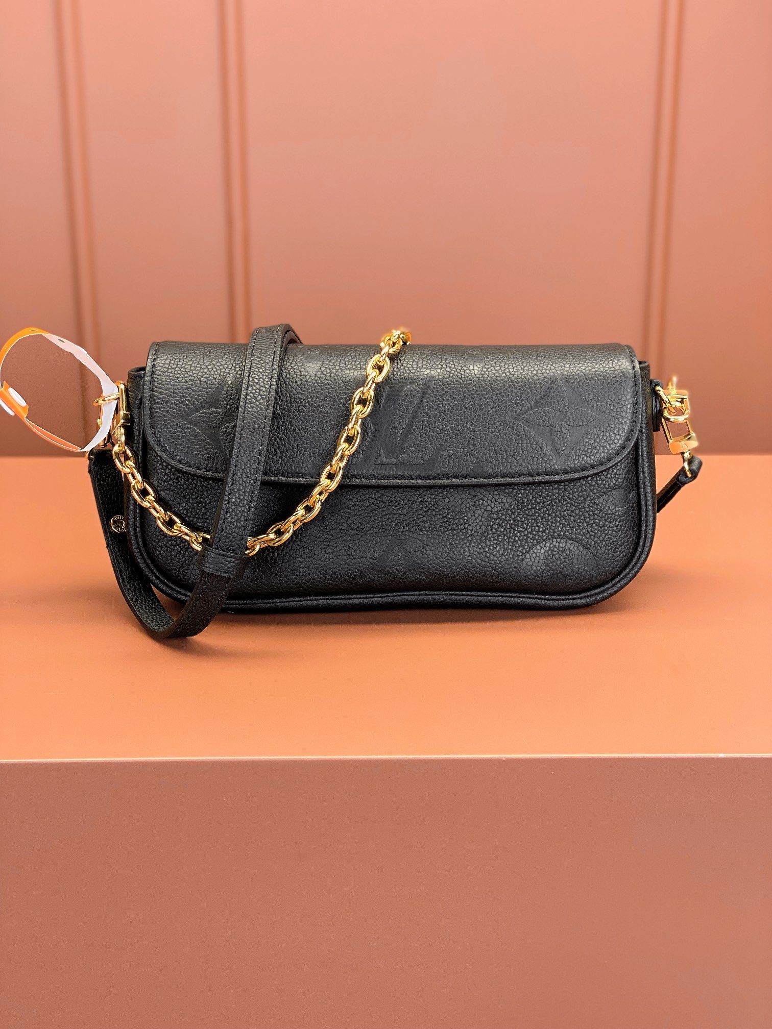 LV Bag
