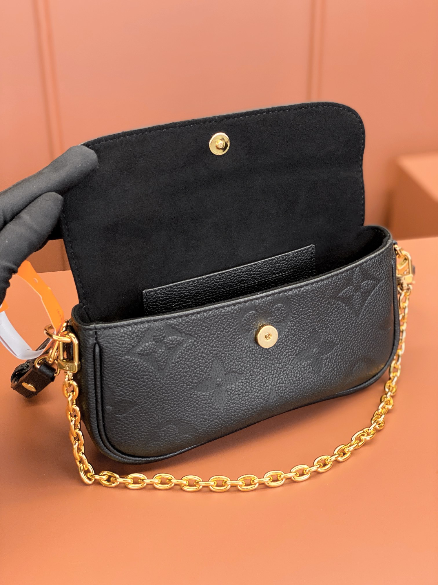 LV Bag