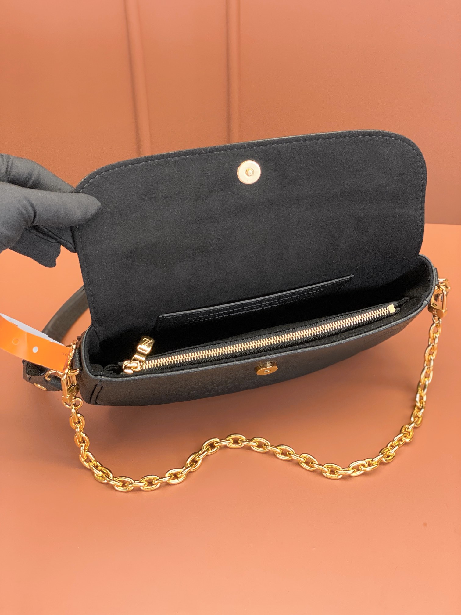 LV Bag