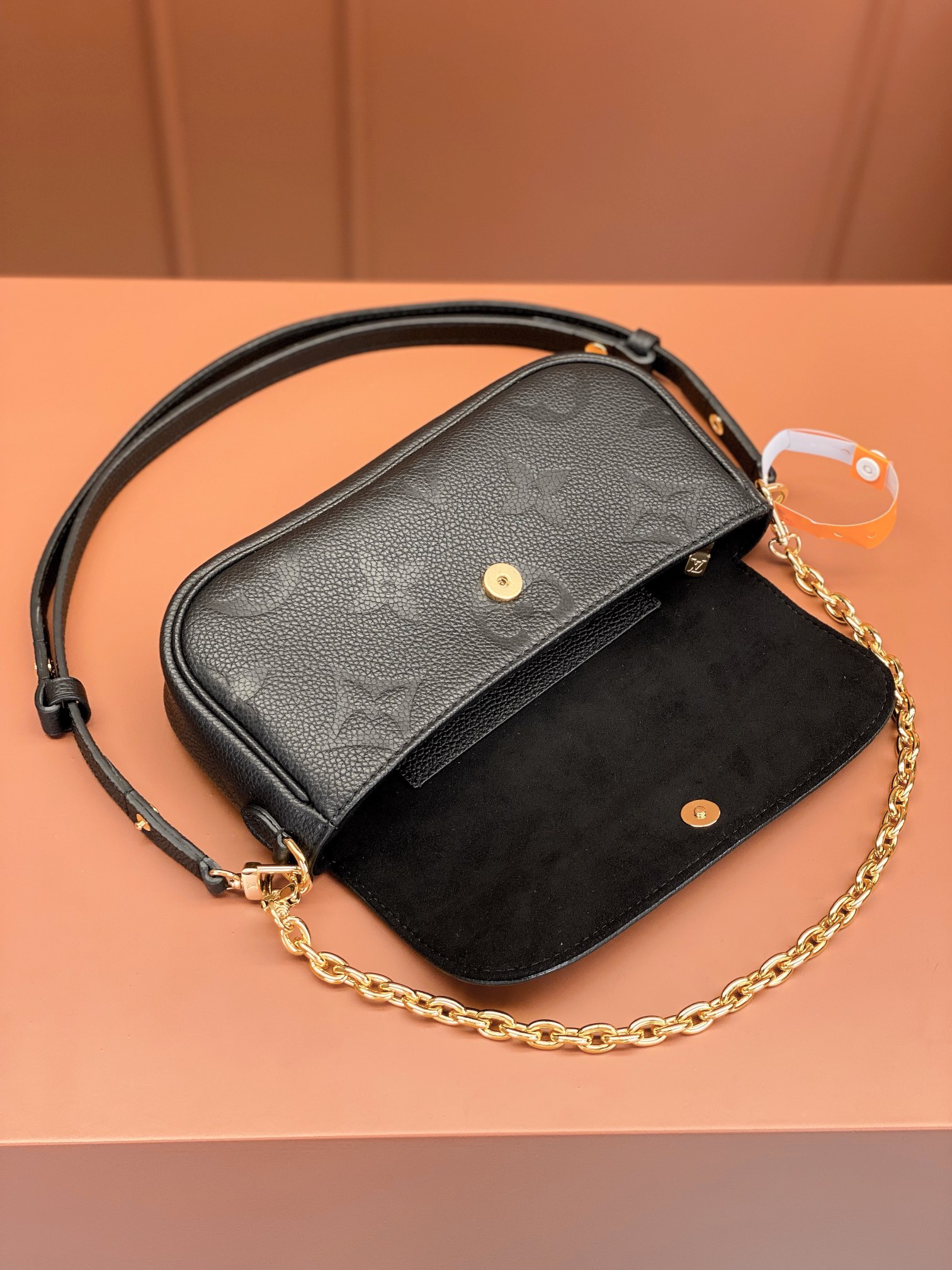 LV Bag