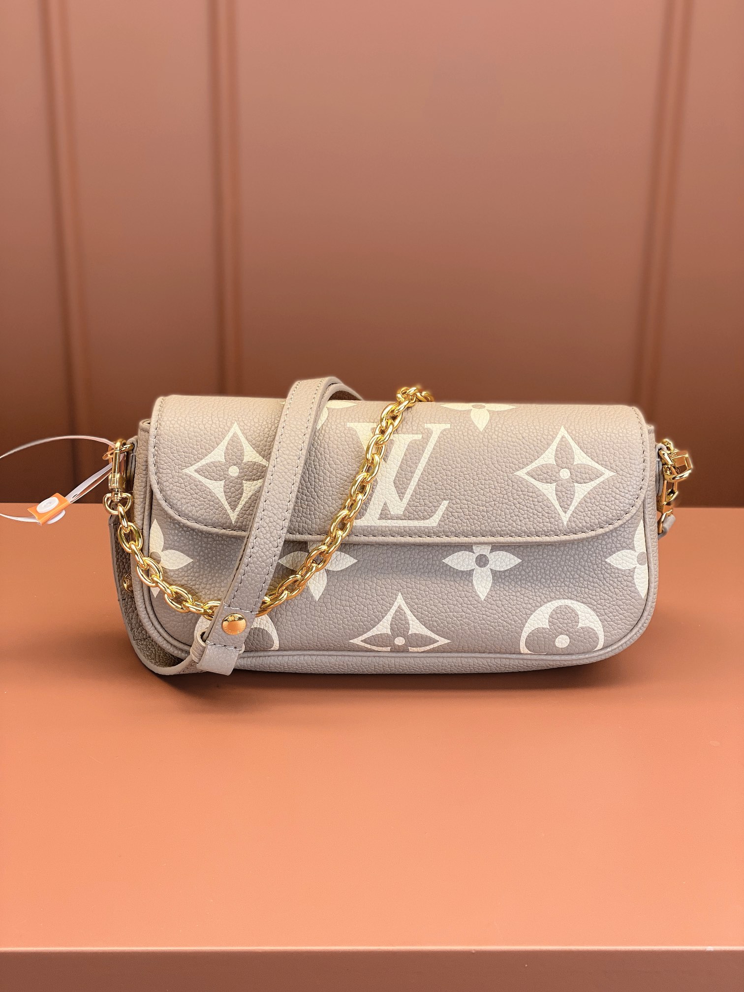 LV Bag