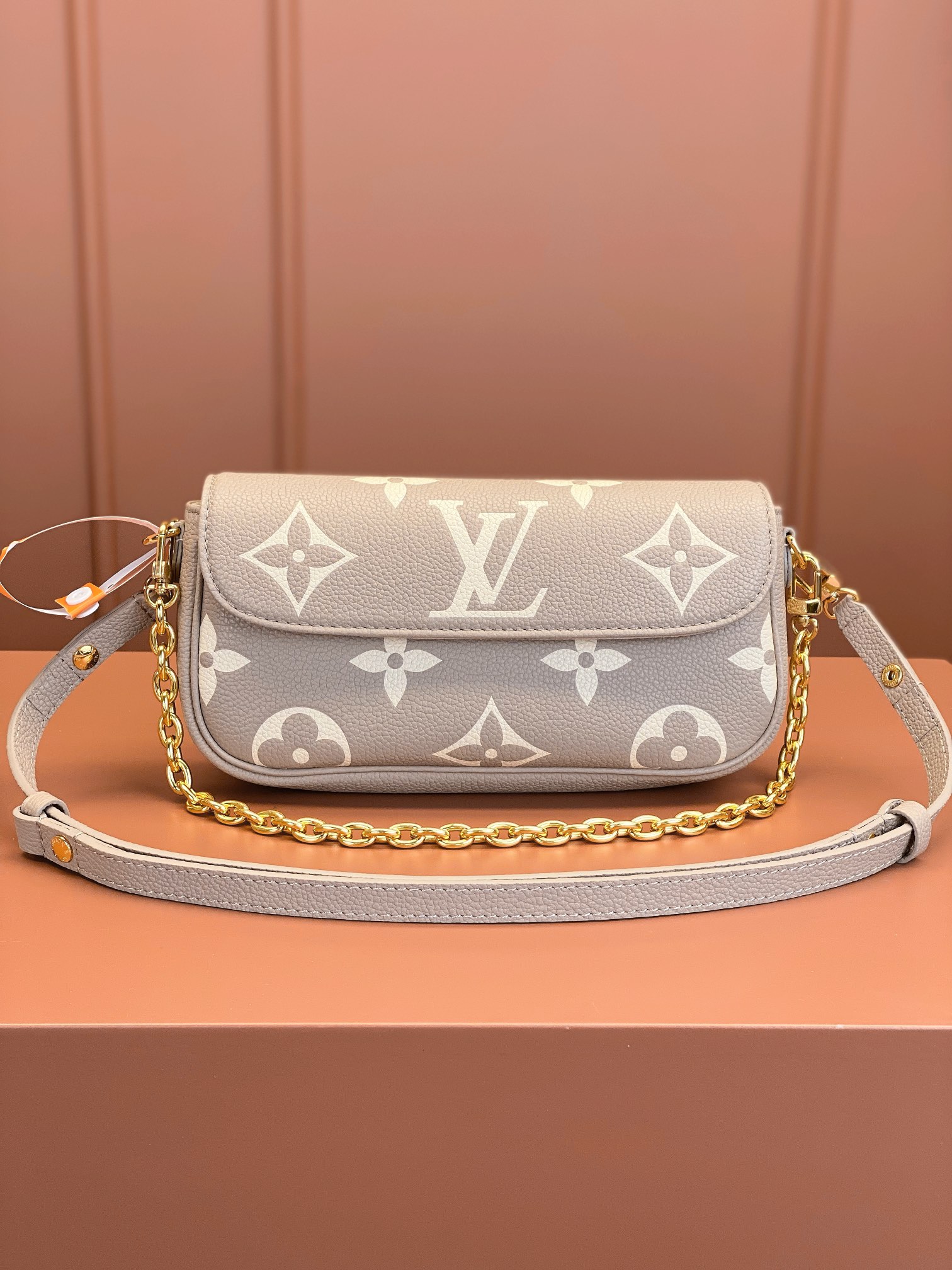 LV Bag