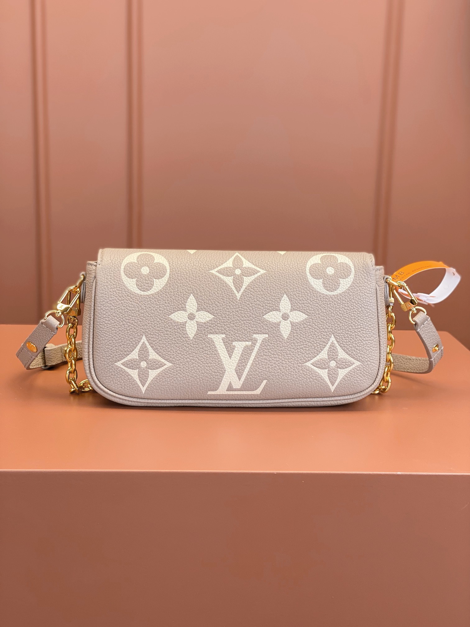 LV Bag
