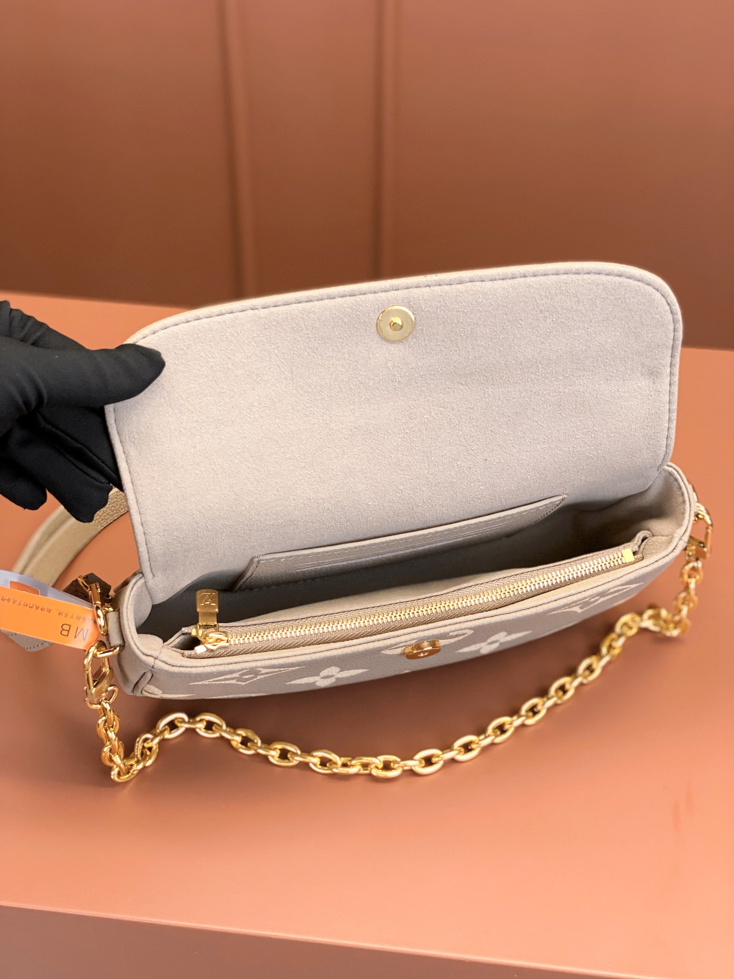 LV Bag