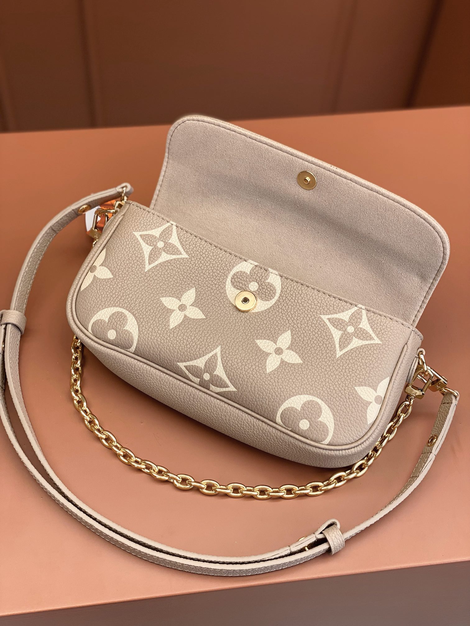 LV Bag