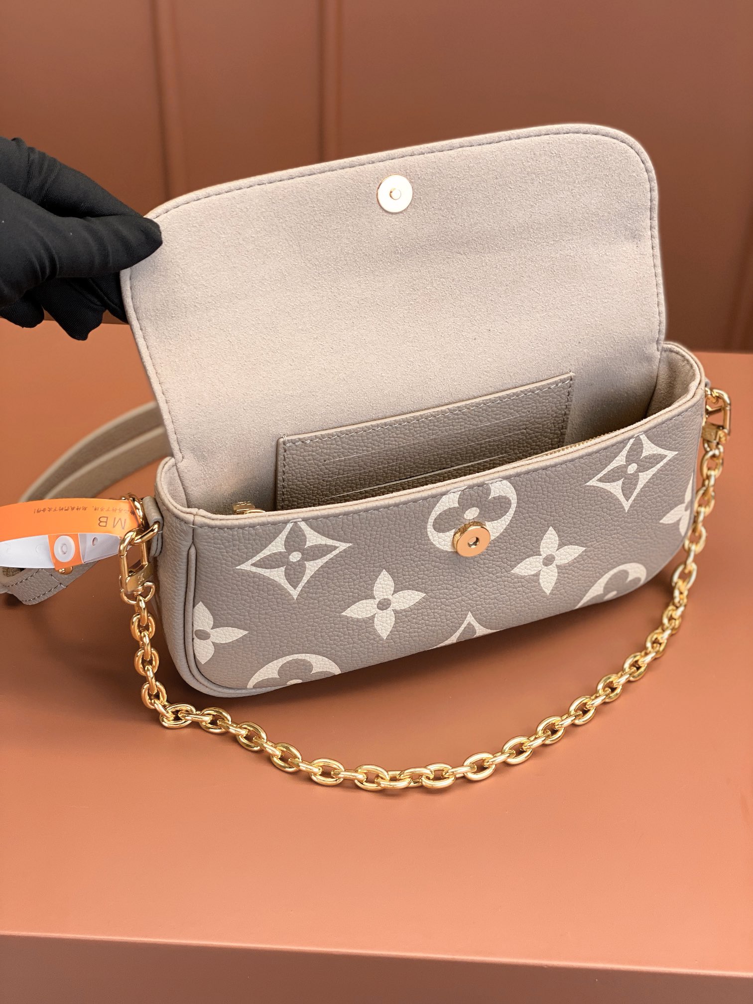 LV Bag