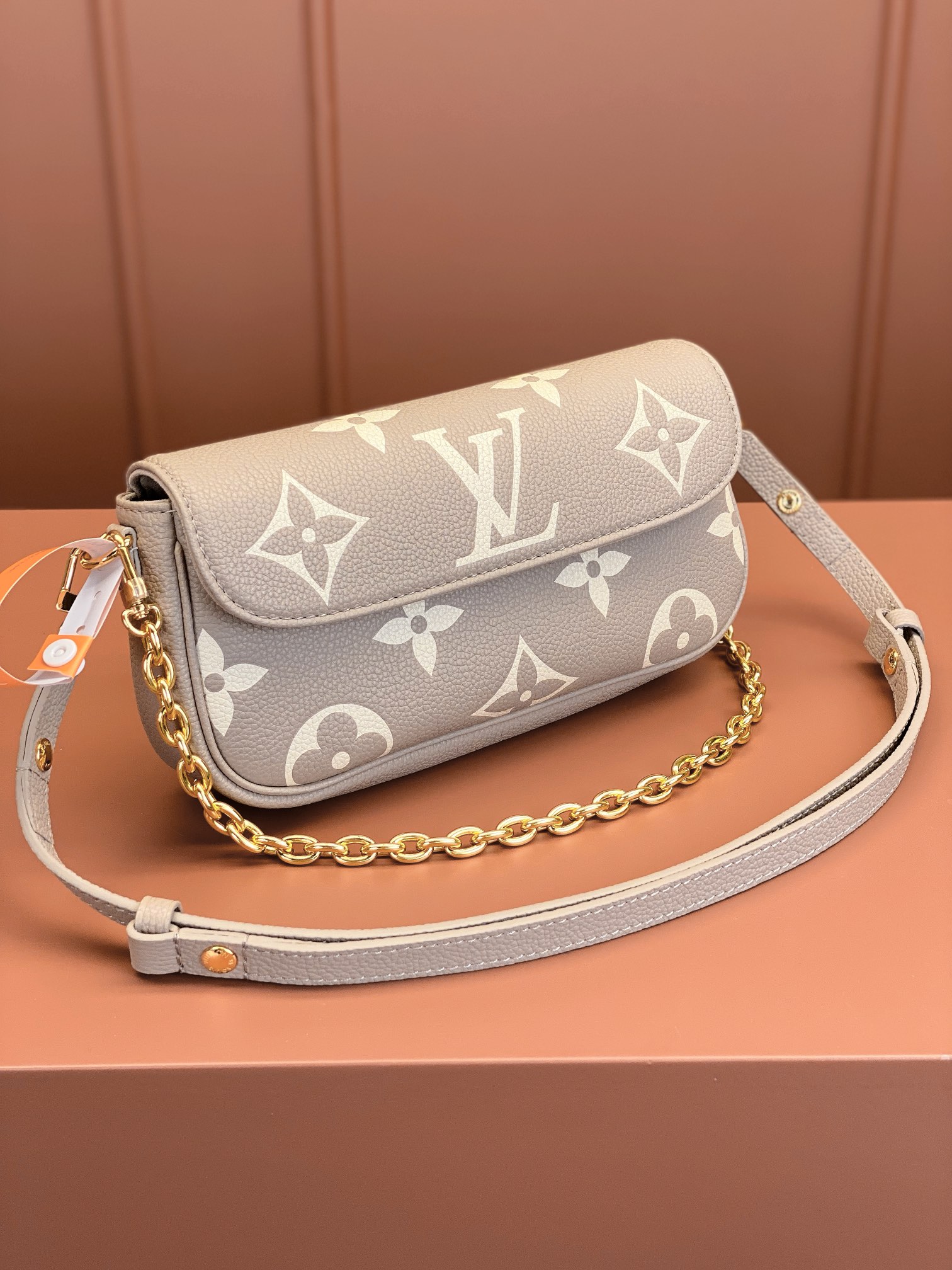 LV Bag